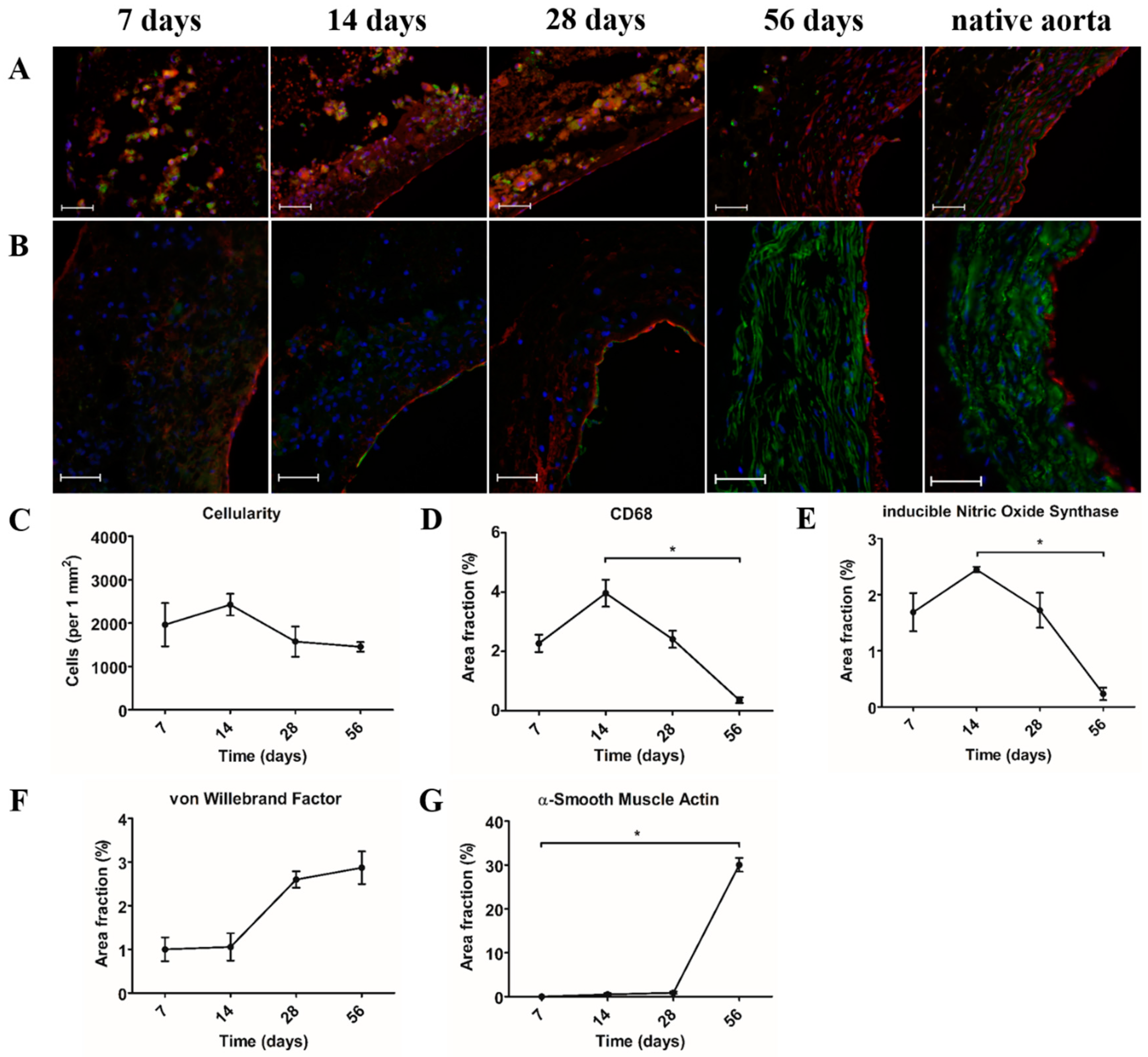 Bioengineering 05 00061 g003