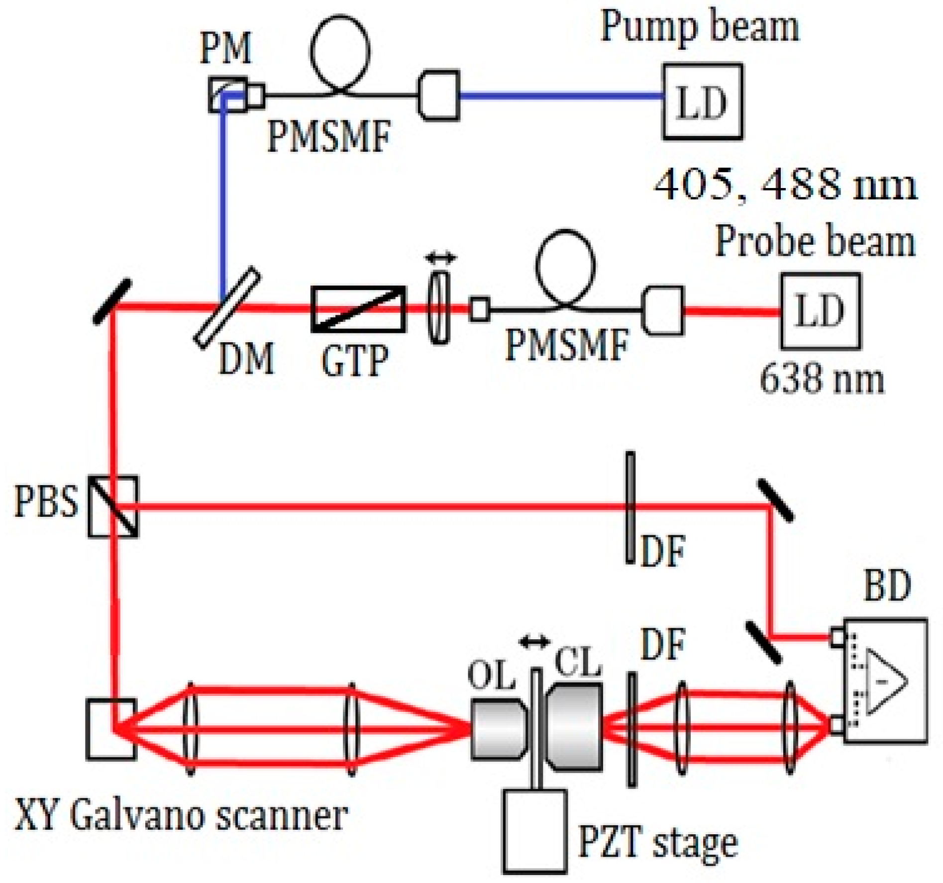 Bioengineering 05 00067 g001