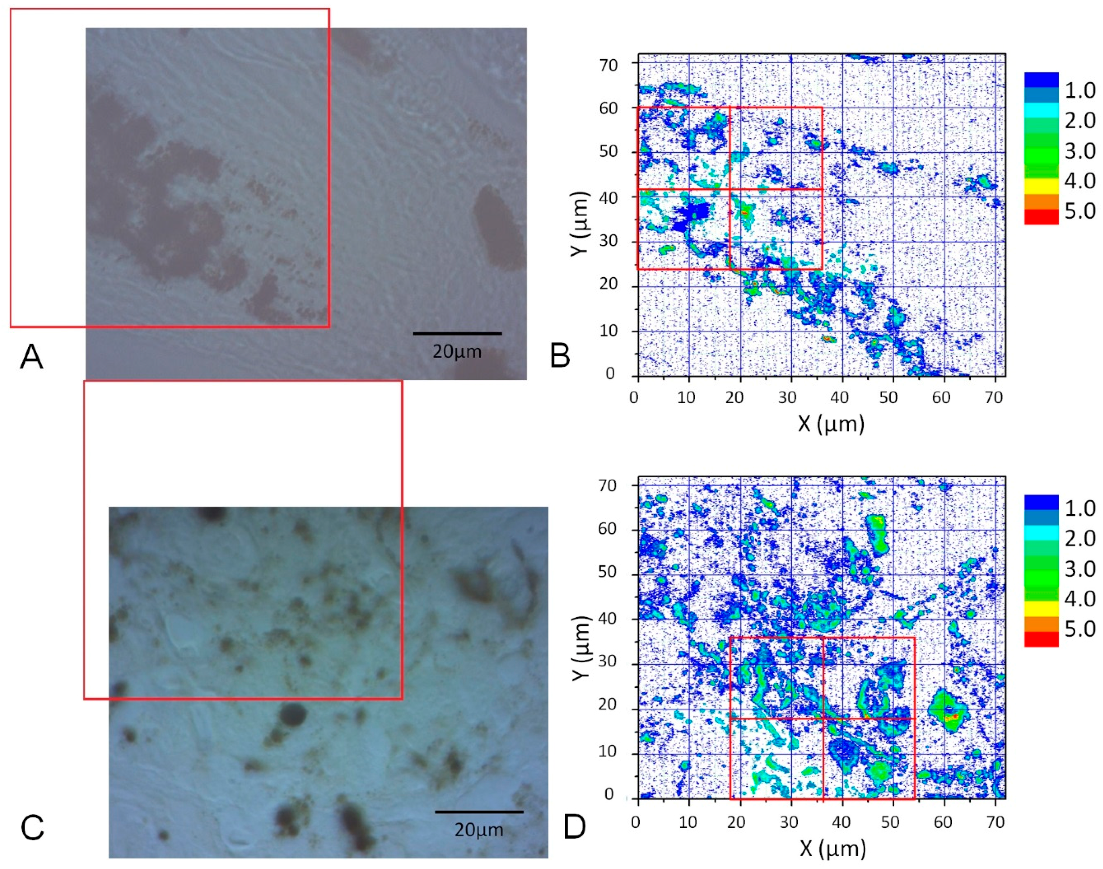 Bioengineering 05 00067 g003