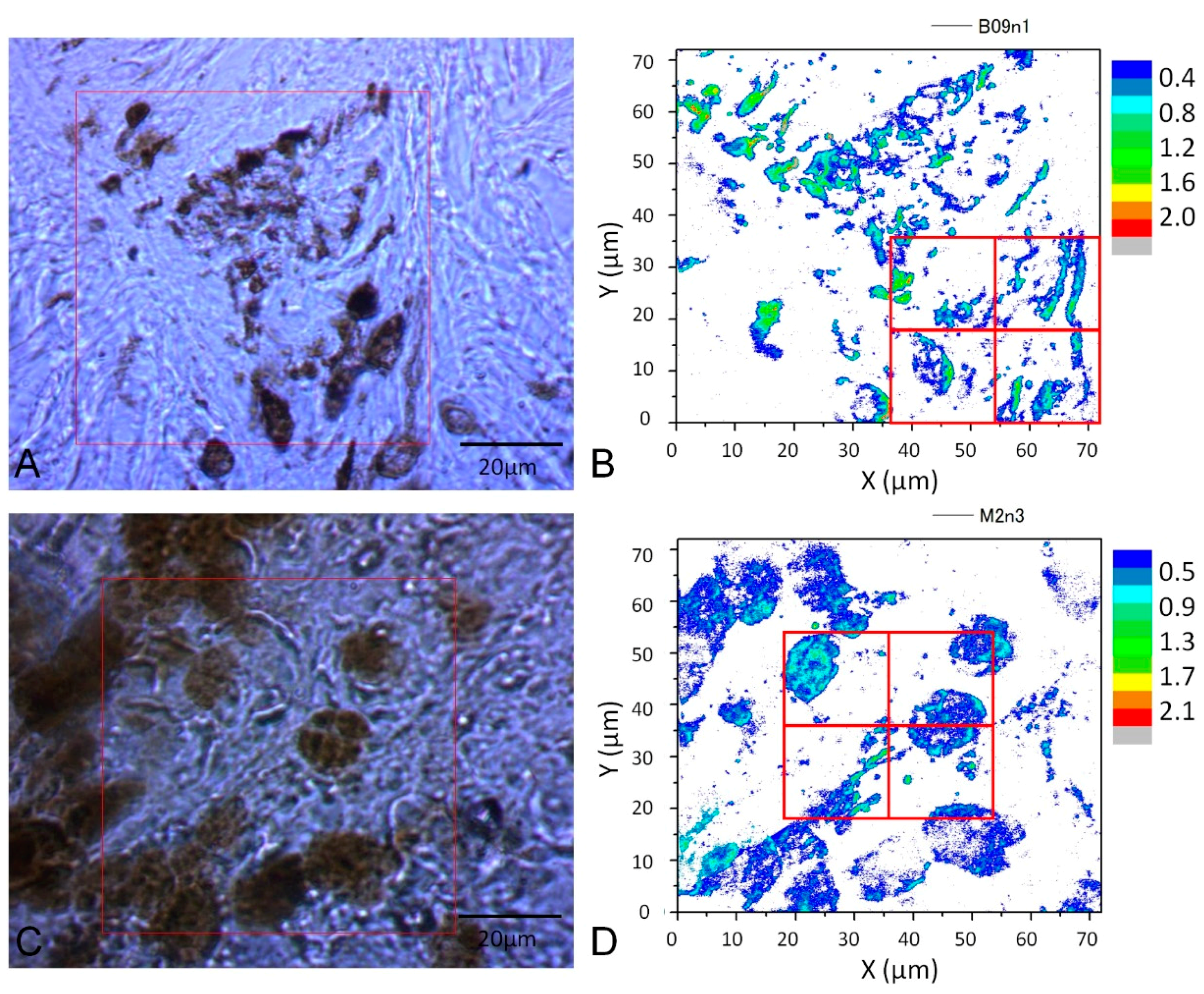 Bioengineering 05 00067 g004