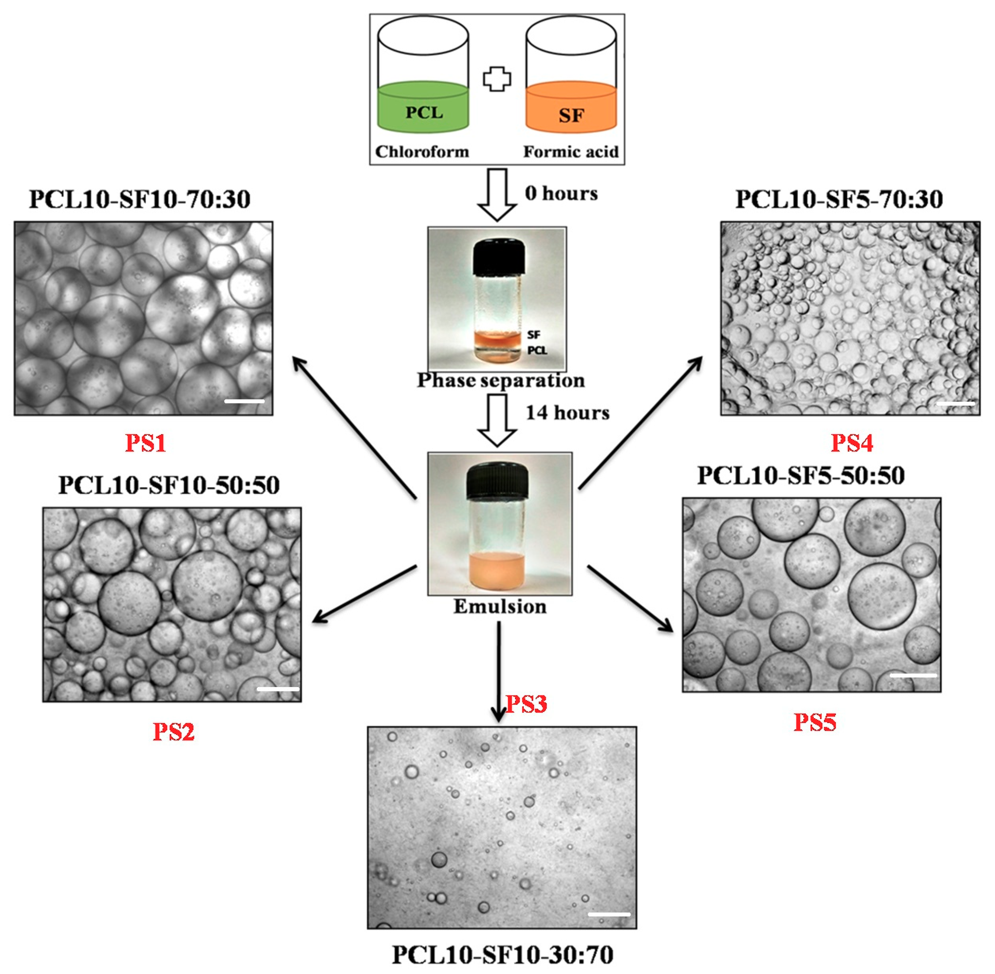 Bioengineering 05 00068 g001 Bioengineering 05 00068 g001