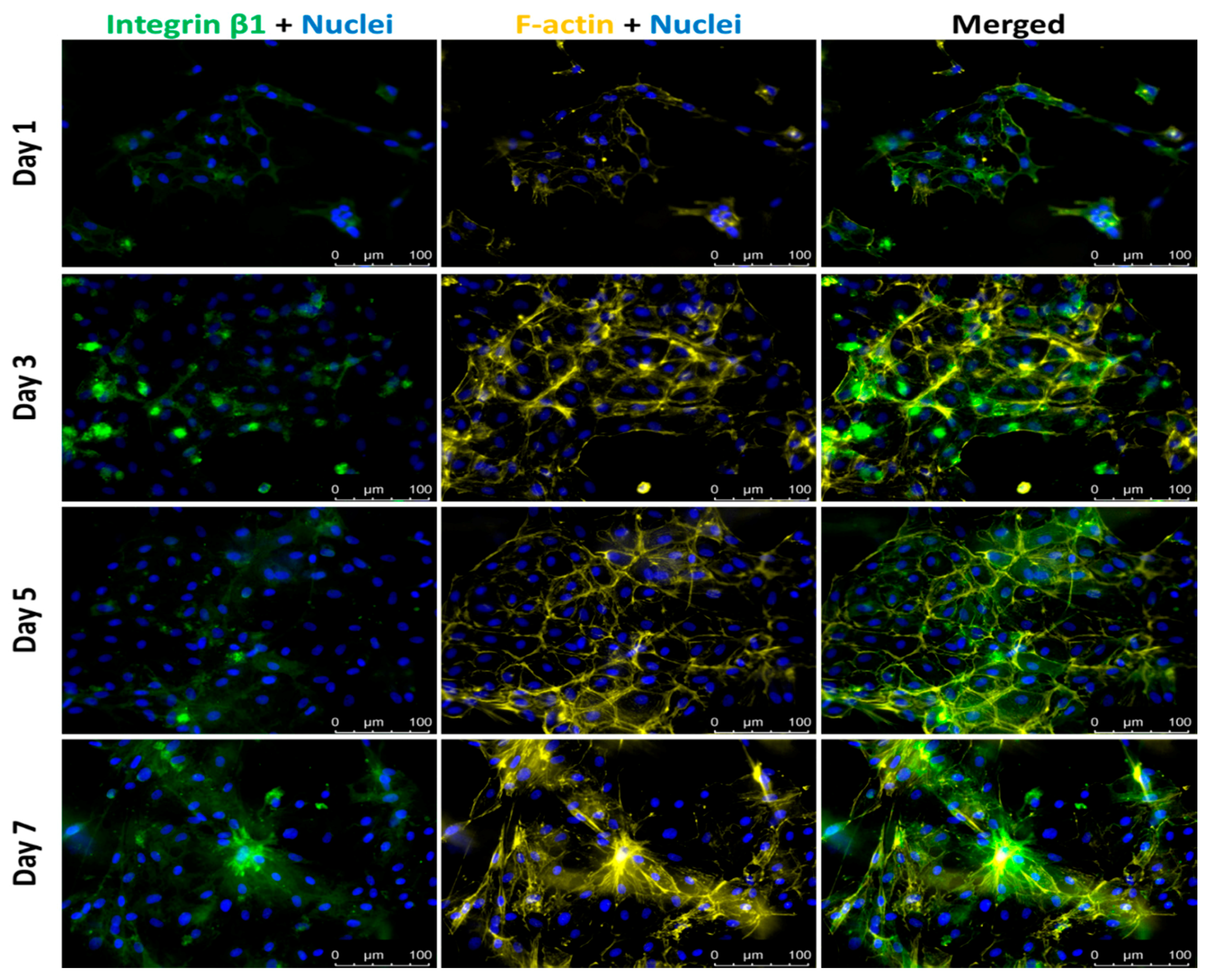 Bioengineering 05 00069 g005 Bioengineering 05 00069 g005