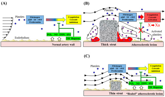 Bioengineering Free Full Text Understanding The Impact Of Stent And Scaffold Material And Strut Design On Coronary Artery Thrombosis From The Basic And Clinical Points Of View Html