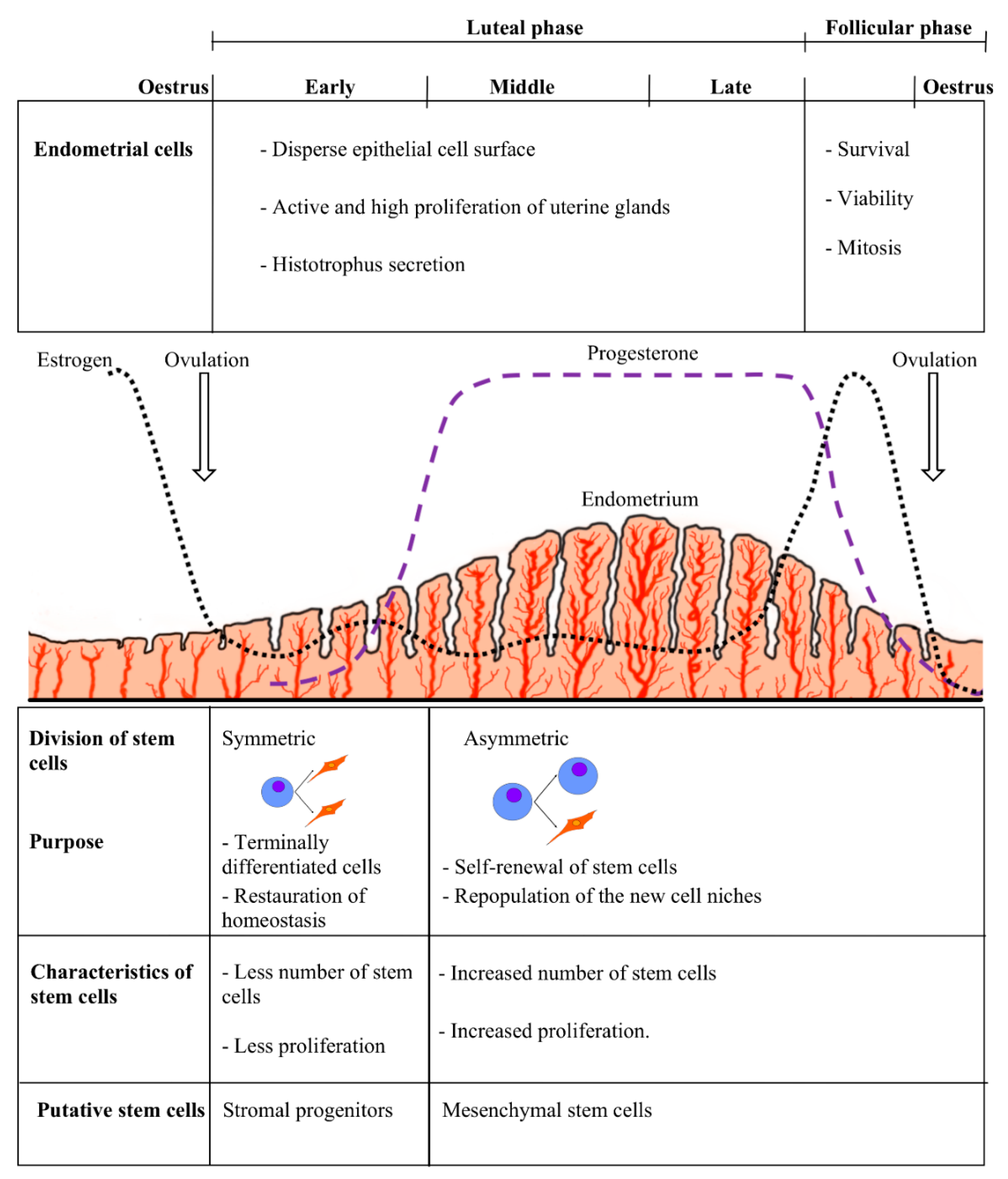 Bioengineering 05 00075 g001 Bioengineering 05 00075 g001