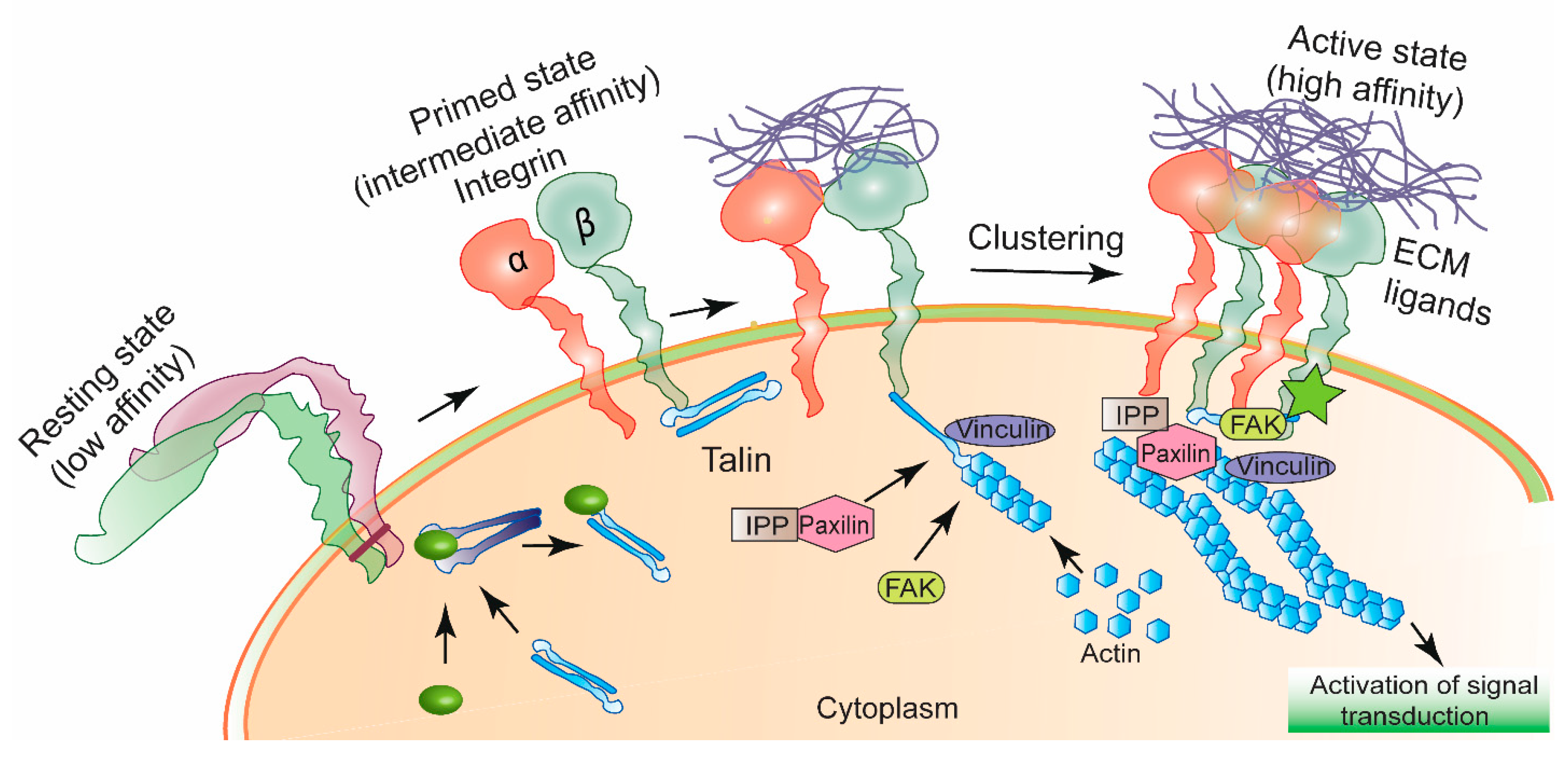 Bioengineering 05 00076 g001 Bioengineering 05 00076 g001