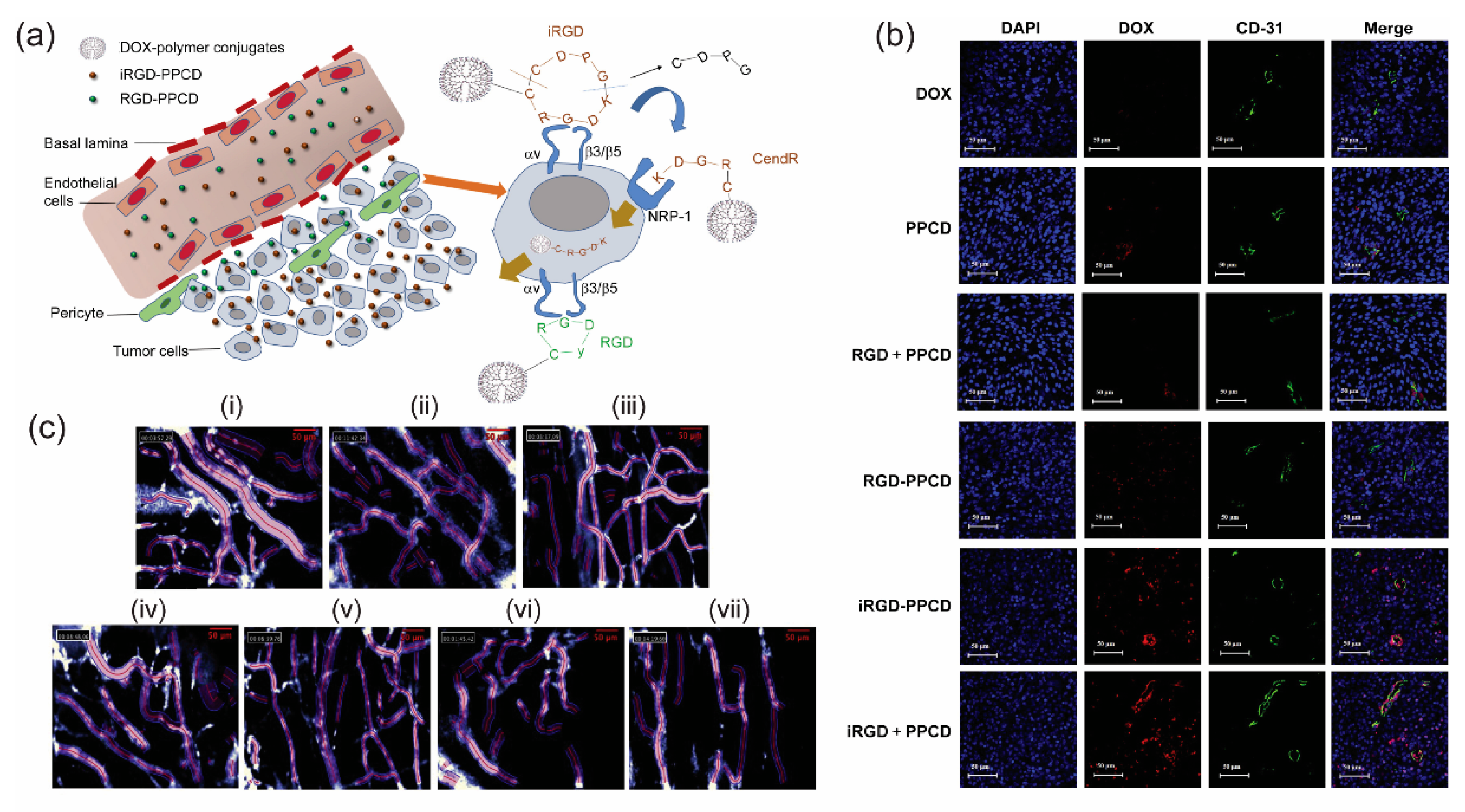 Bioengineering 05 00076 g003 Bioengineering 05 00076 g003