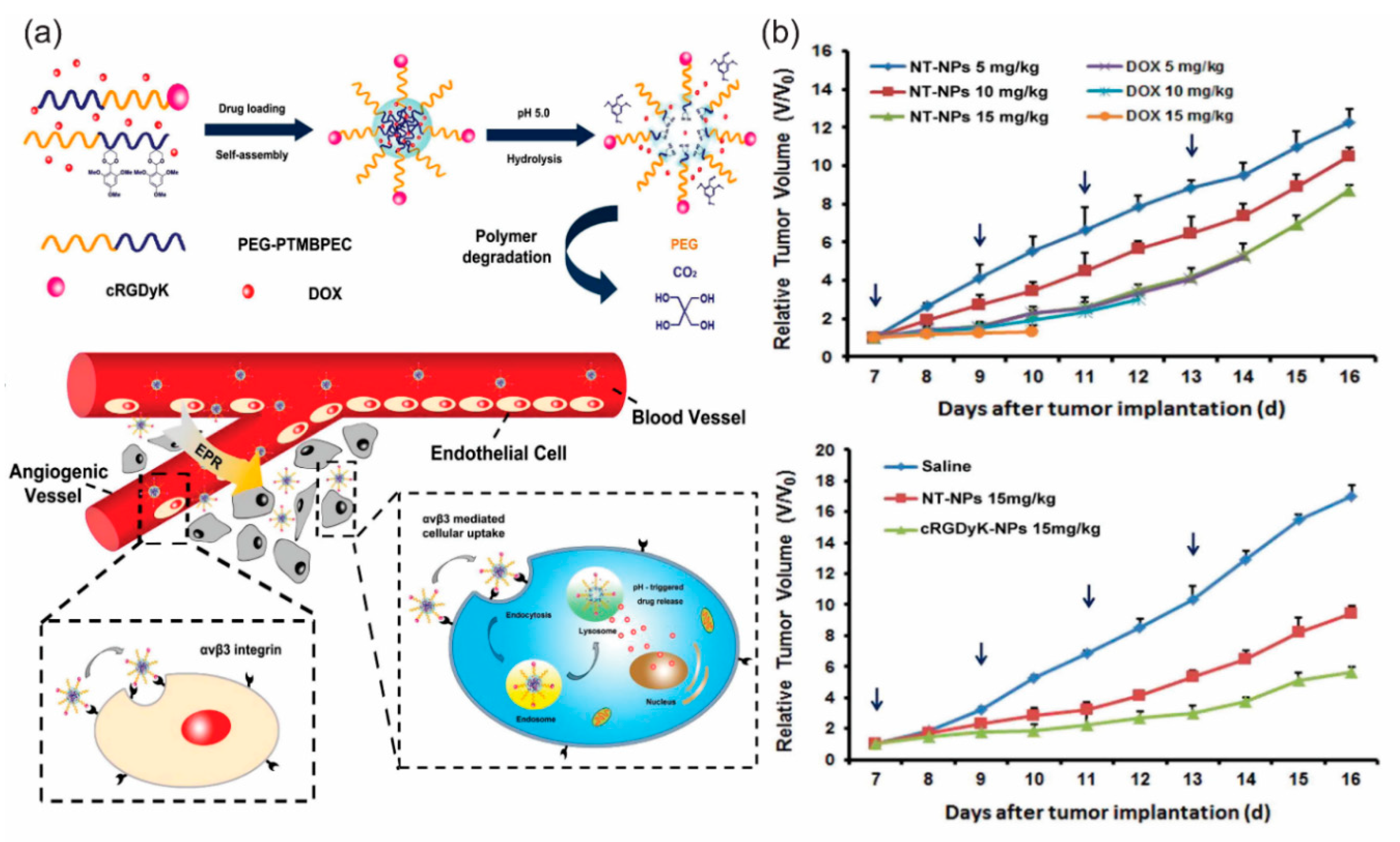 Bioengineering 05 00076 g004 Bioengineering 05 00076 g004