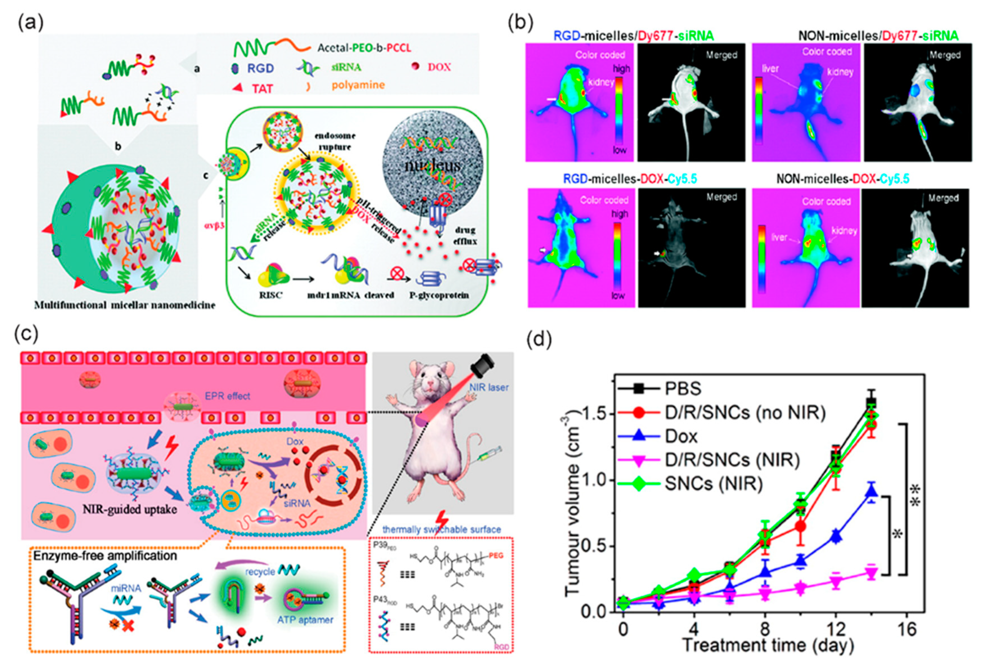 Bioengineering 05 00076 g005 Bioengineering 05 00076 g005