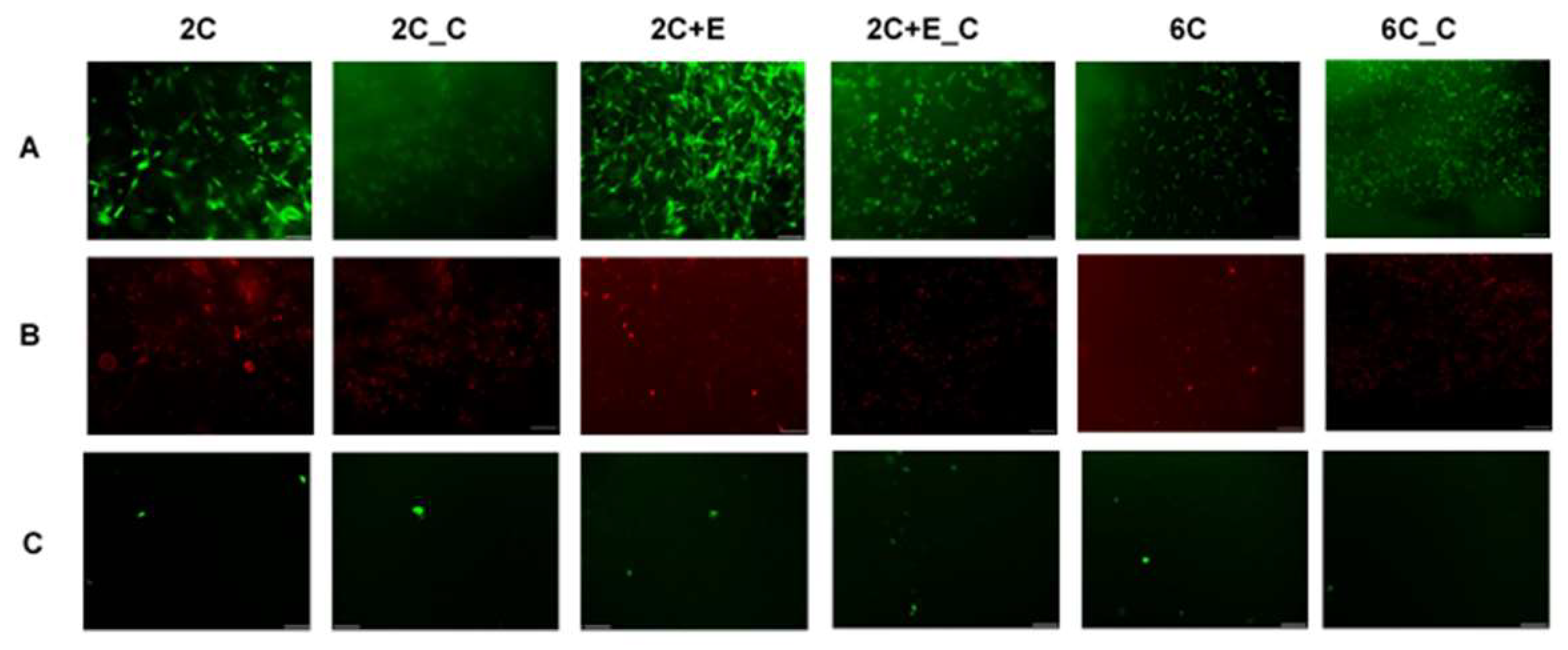 Bioengineering 05 00082 g001