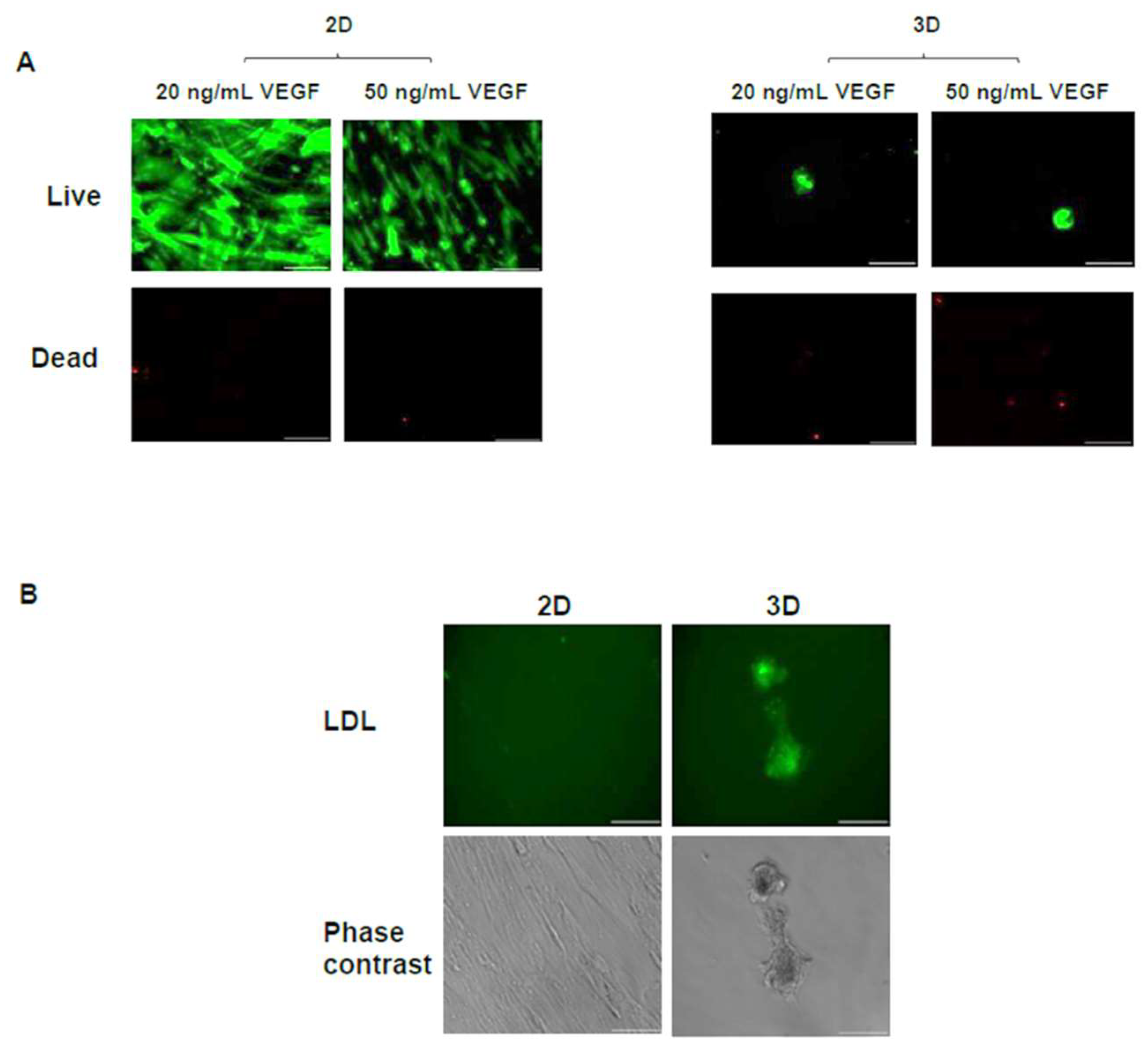 Bioengineering 05 00082 g005