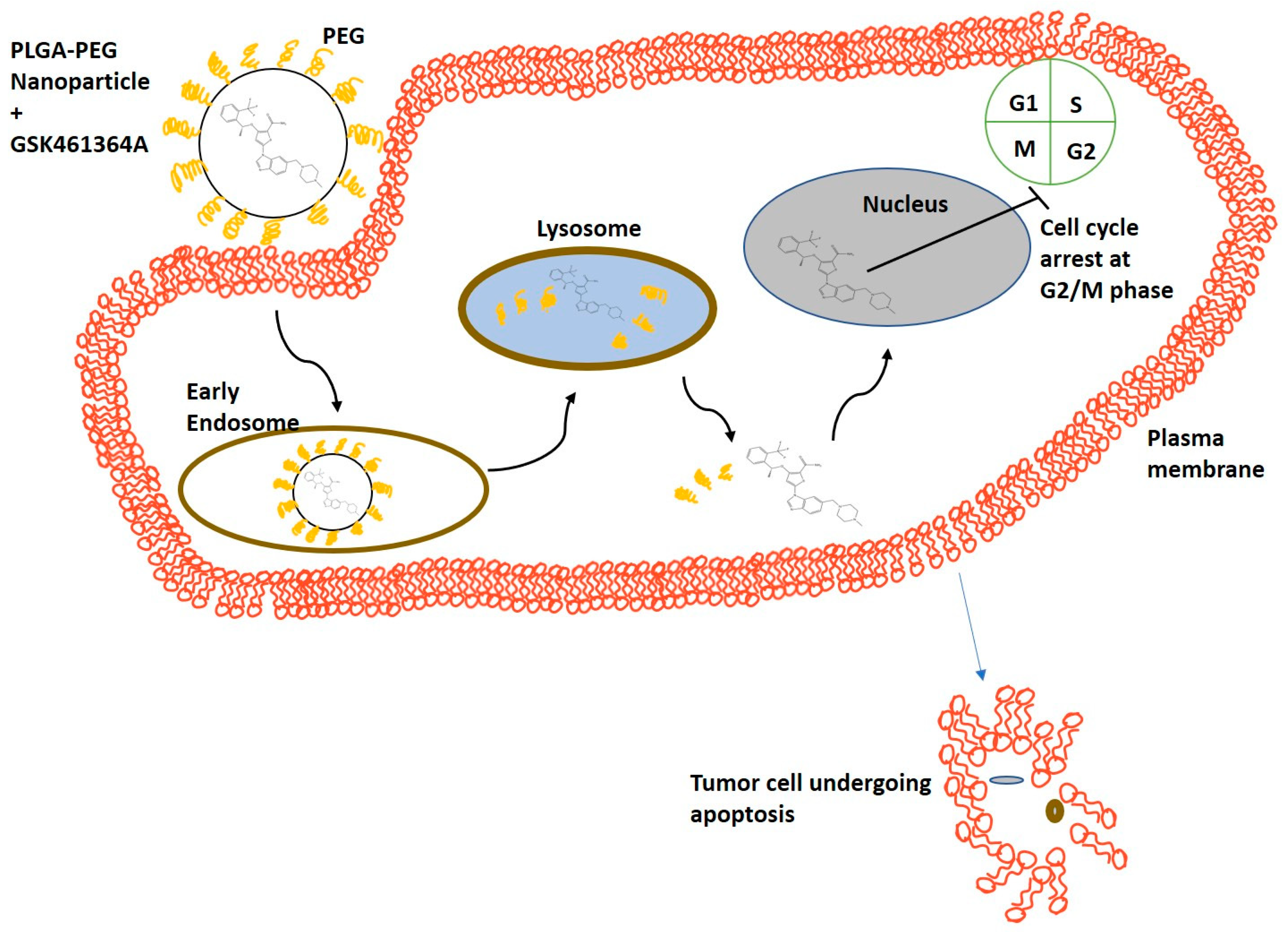 Bioengineering 05 00083 g001