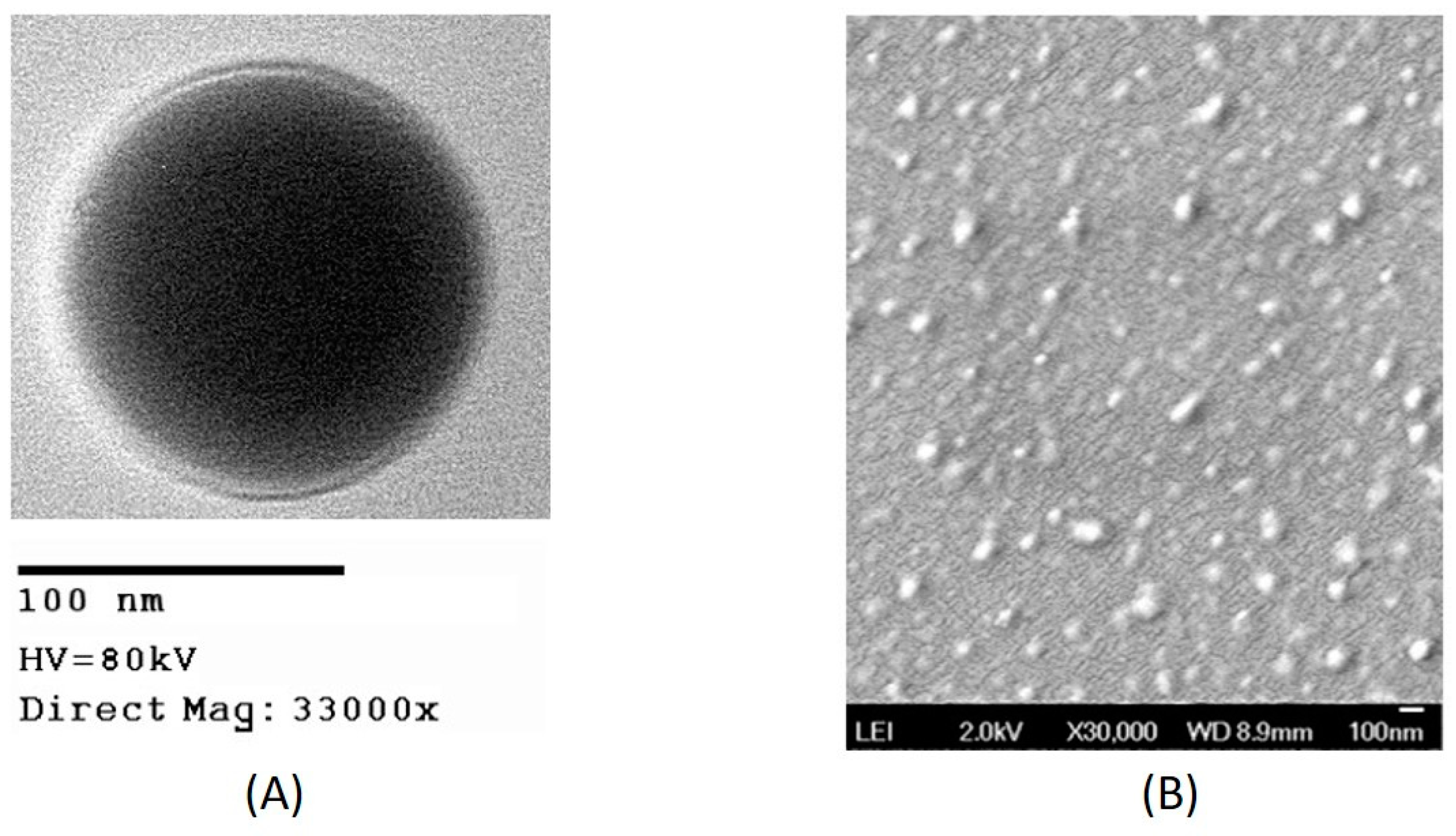 Bioengineering 05 00083 g002