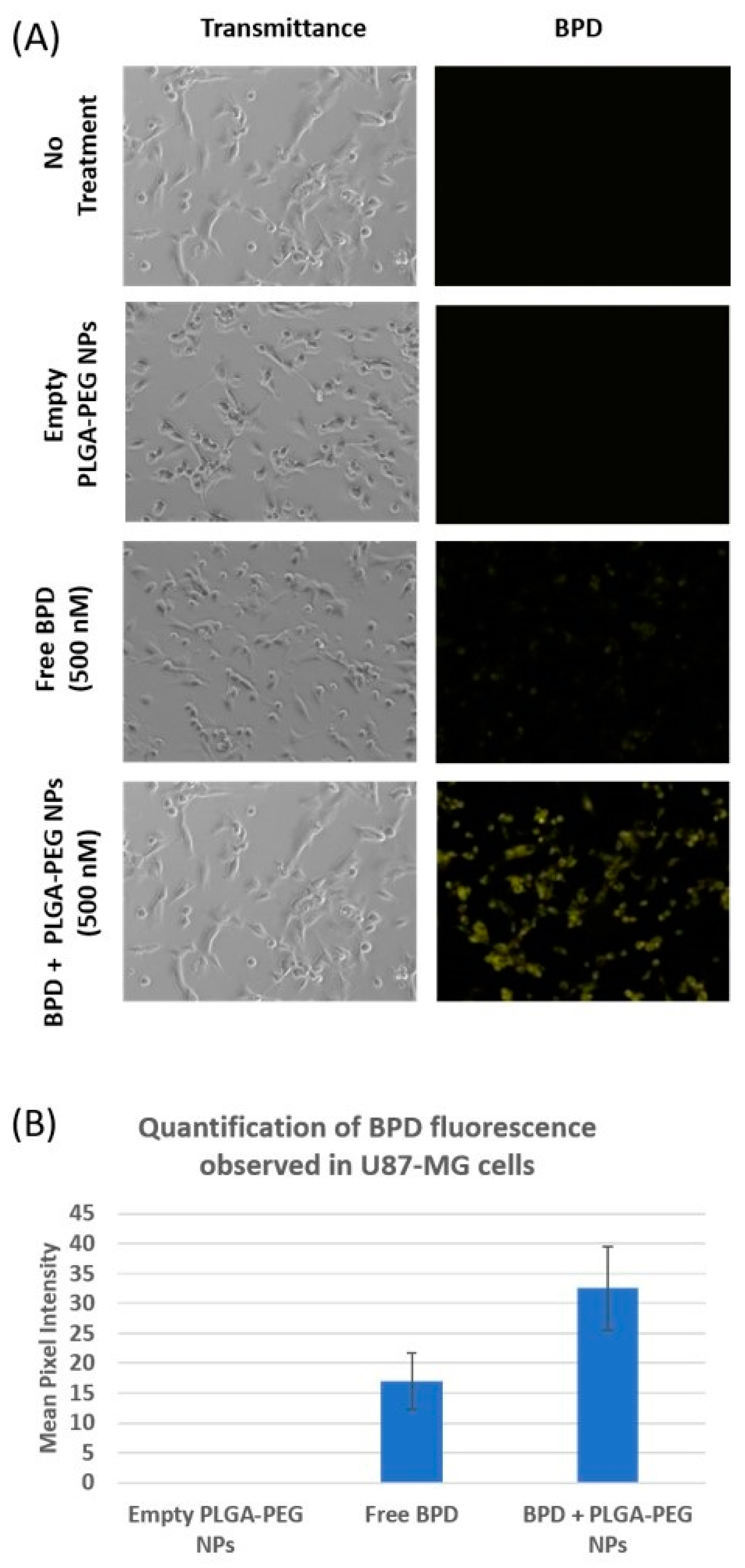 Bioengineering 05 00083 g005