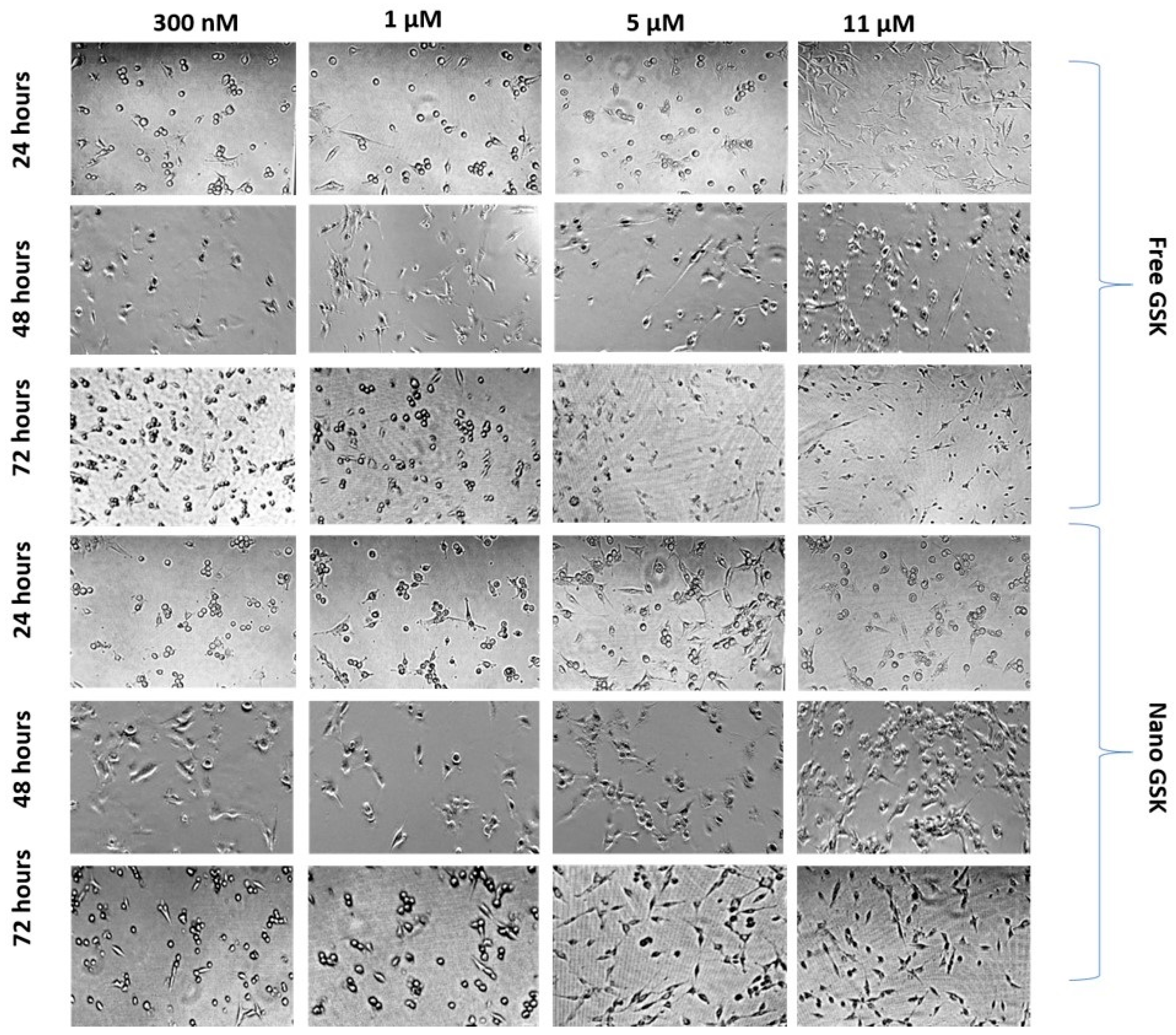 Bioengineering 05 00083 g009