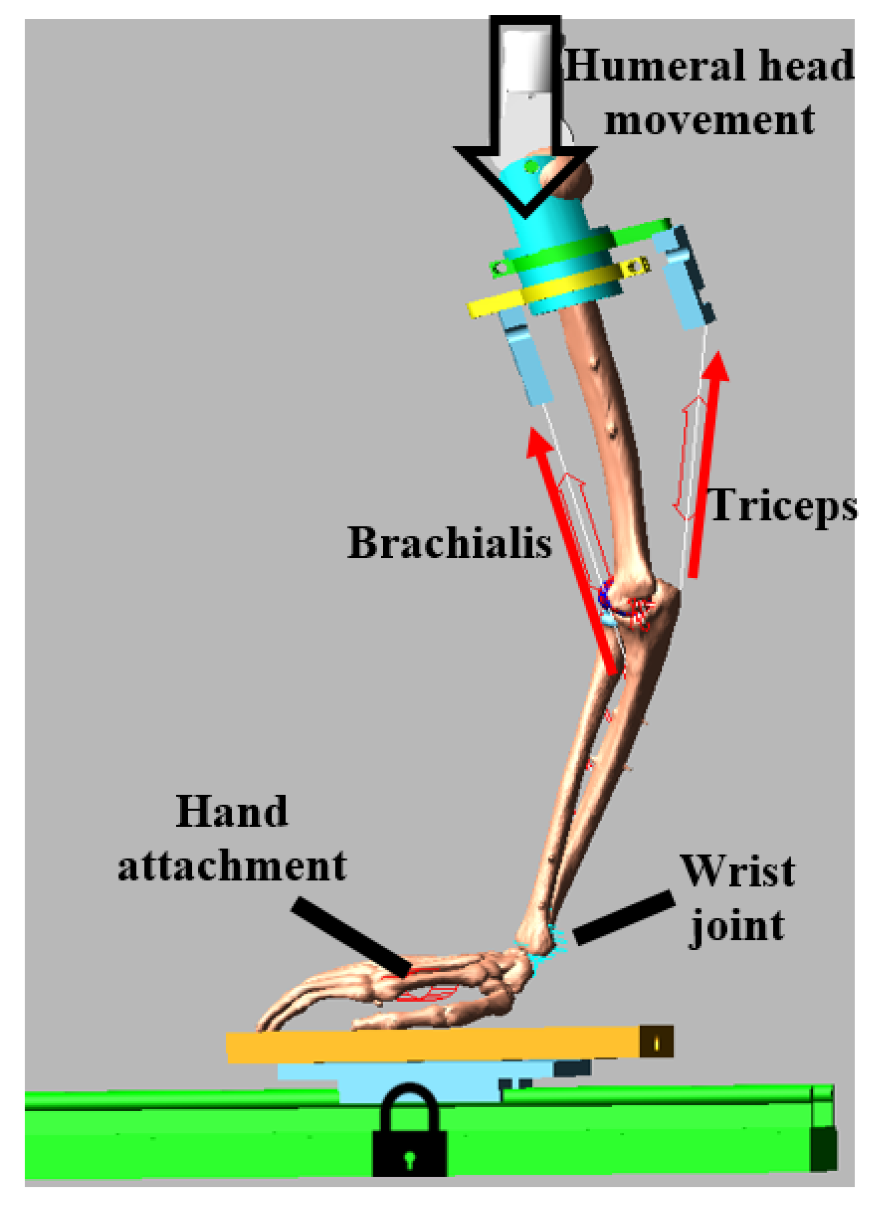 Bioengineering 05 00084 g002 Bioengineering 05 00084 g002