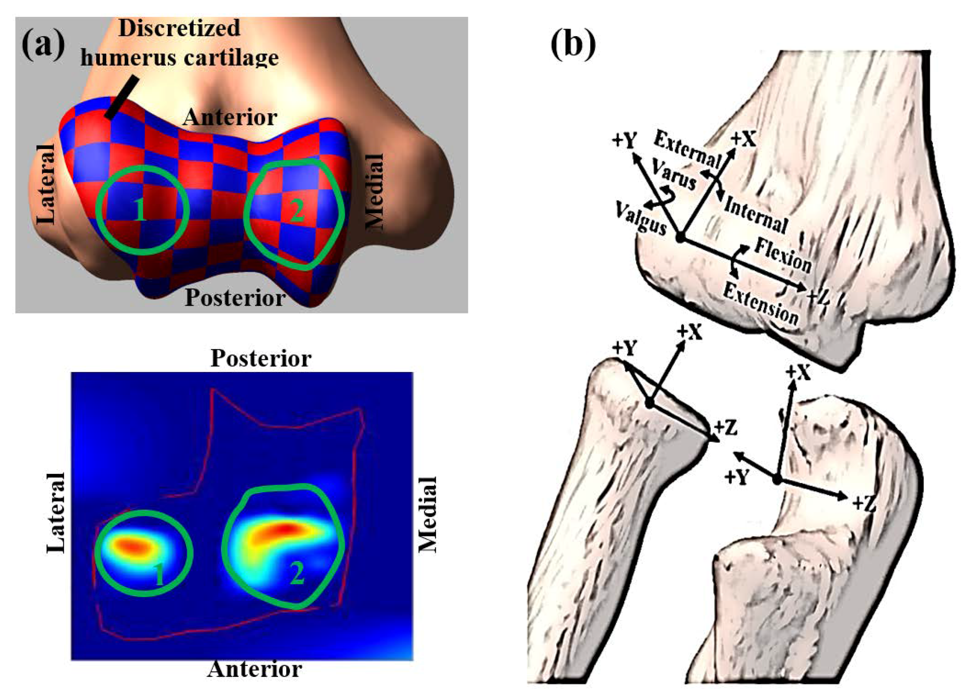 Bioengineering 05 00084 g003 Bioengineering 05 00084 g003