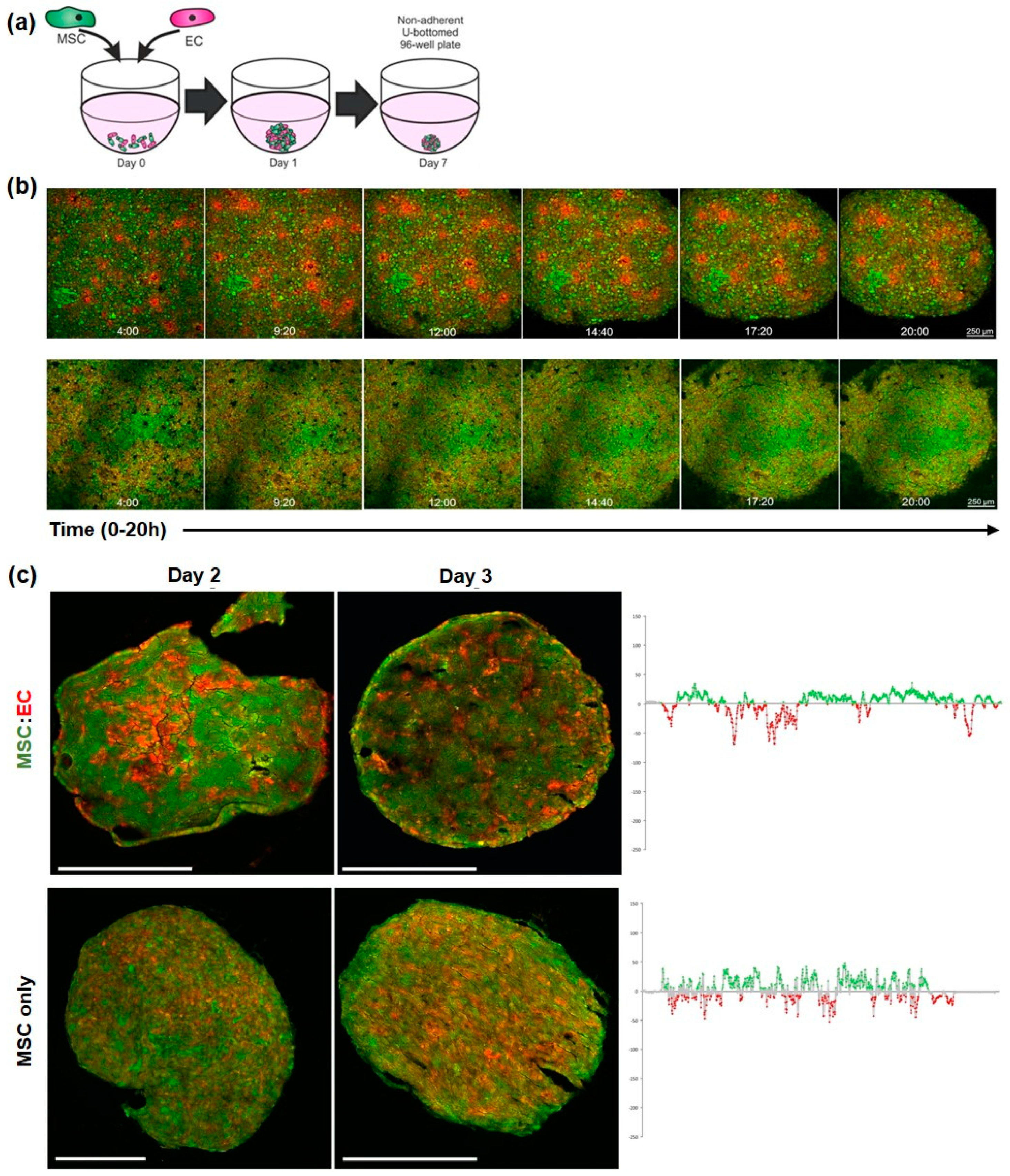 Bioengineering 05 00092 g001 Bioengineering 05 00092 g001