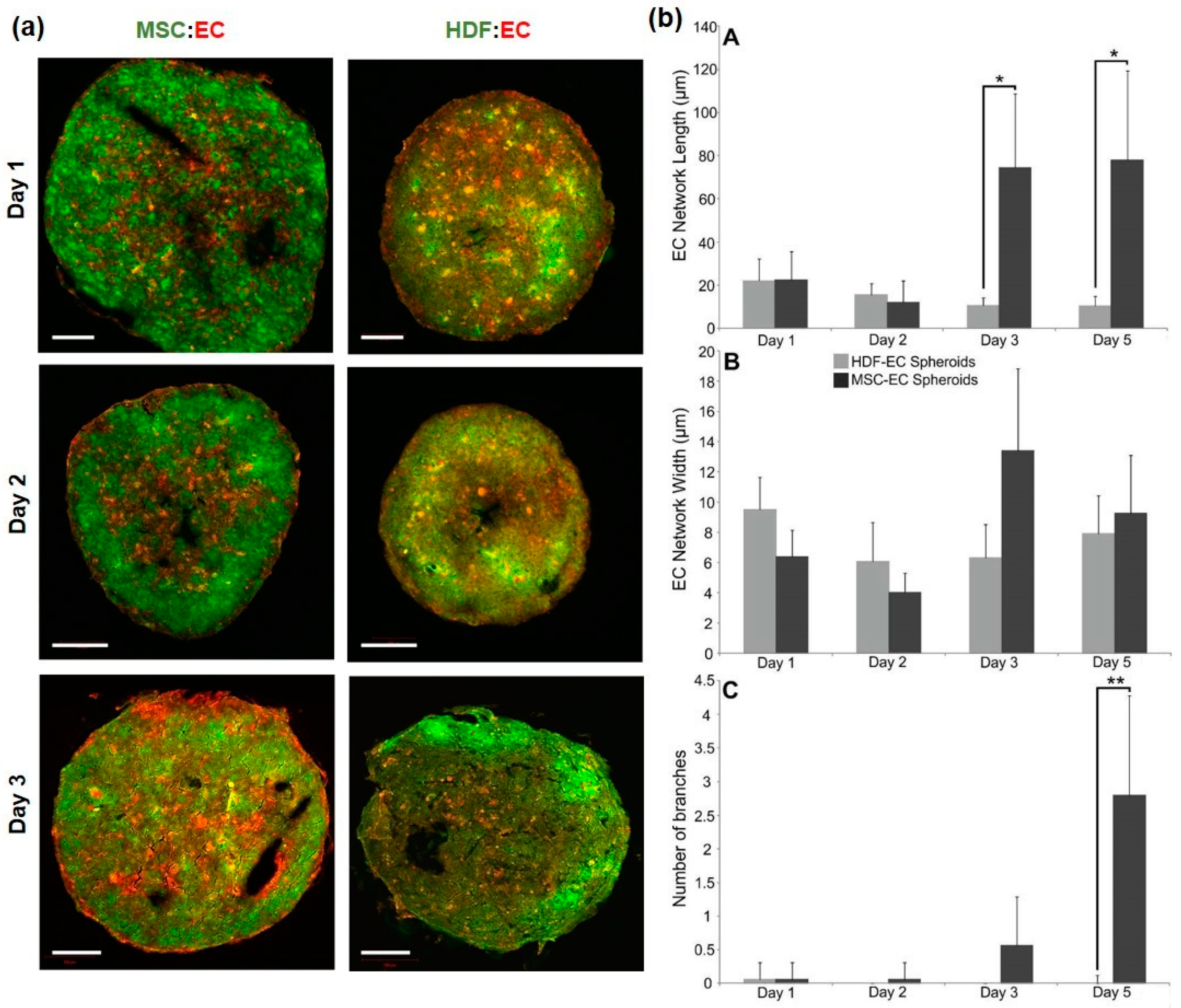 Bioengineering 05 00092 g002 Bioengineering 05 00092 g002