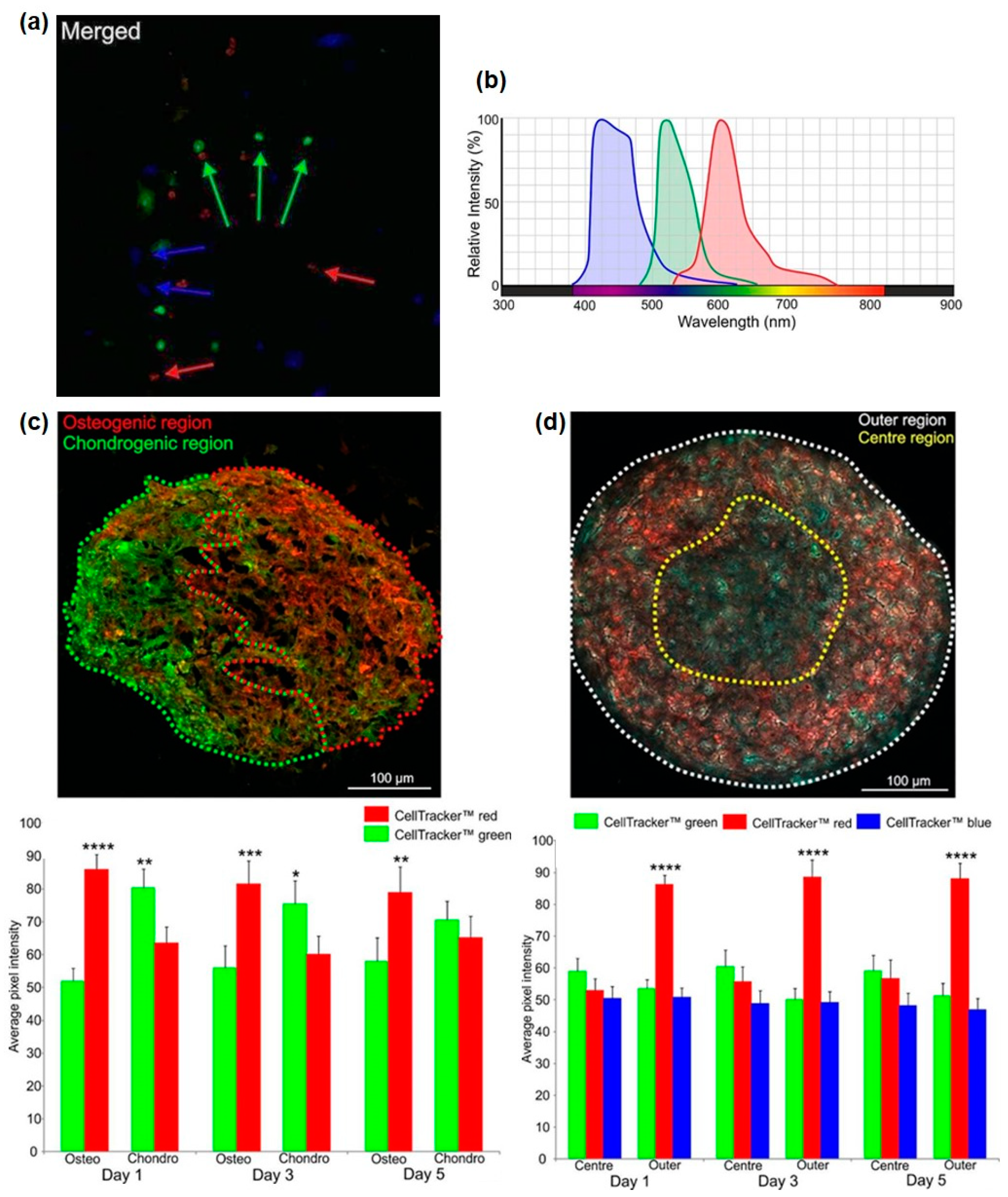 Bioengineering 05 00092 g005 Bioengineering 05 00092 g005