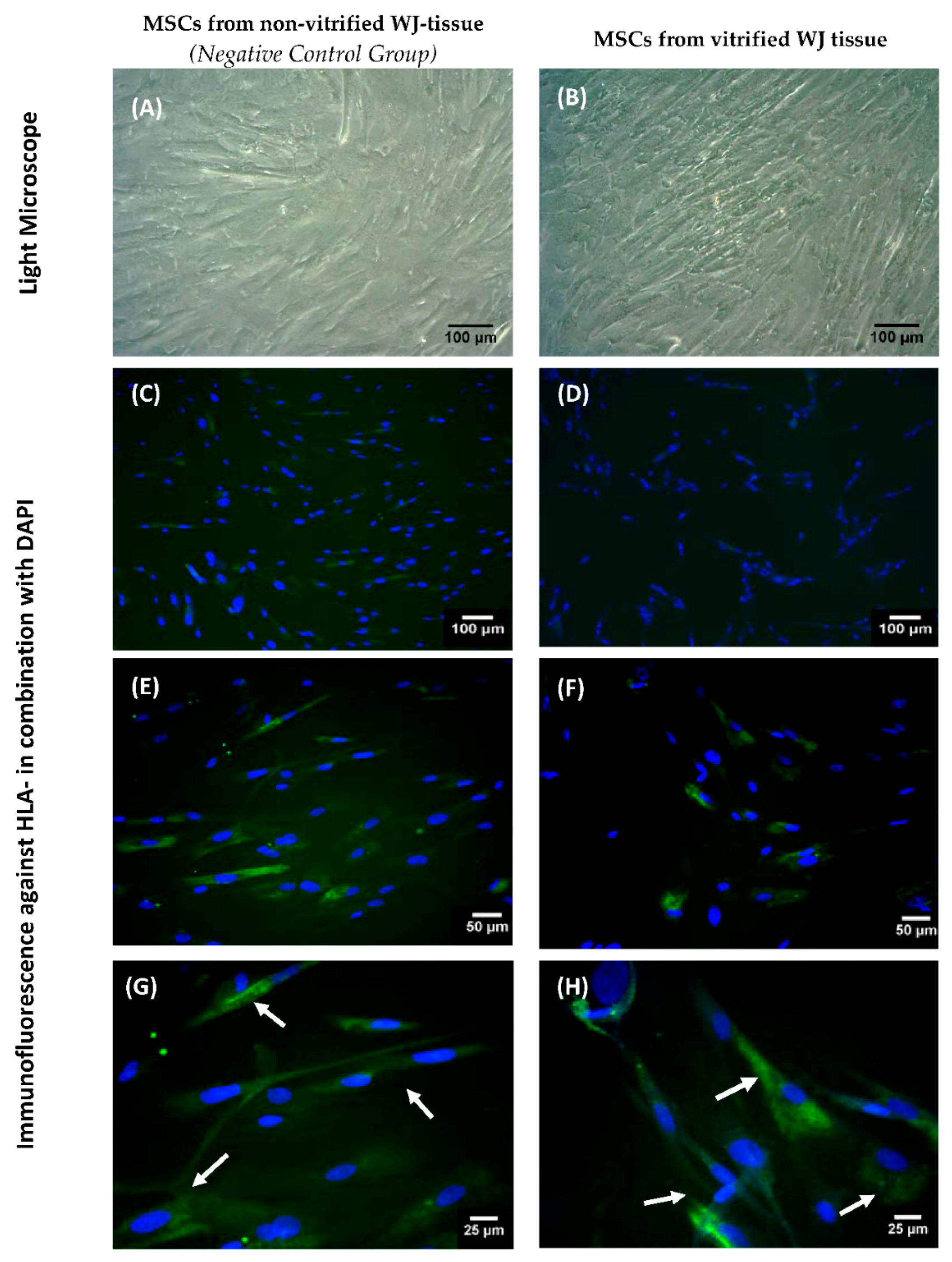 Bioengineering 05 00095 g006