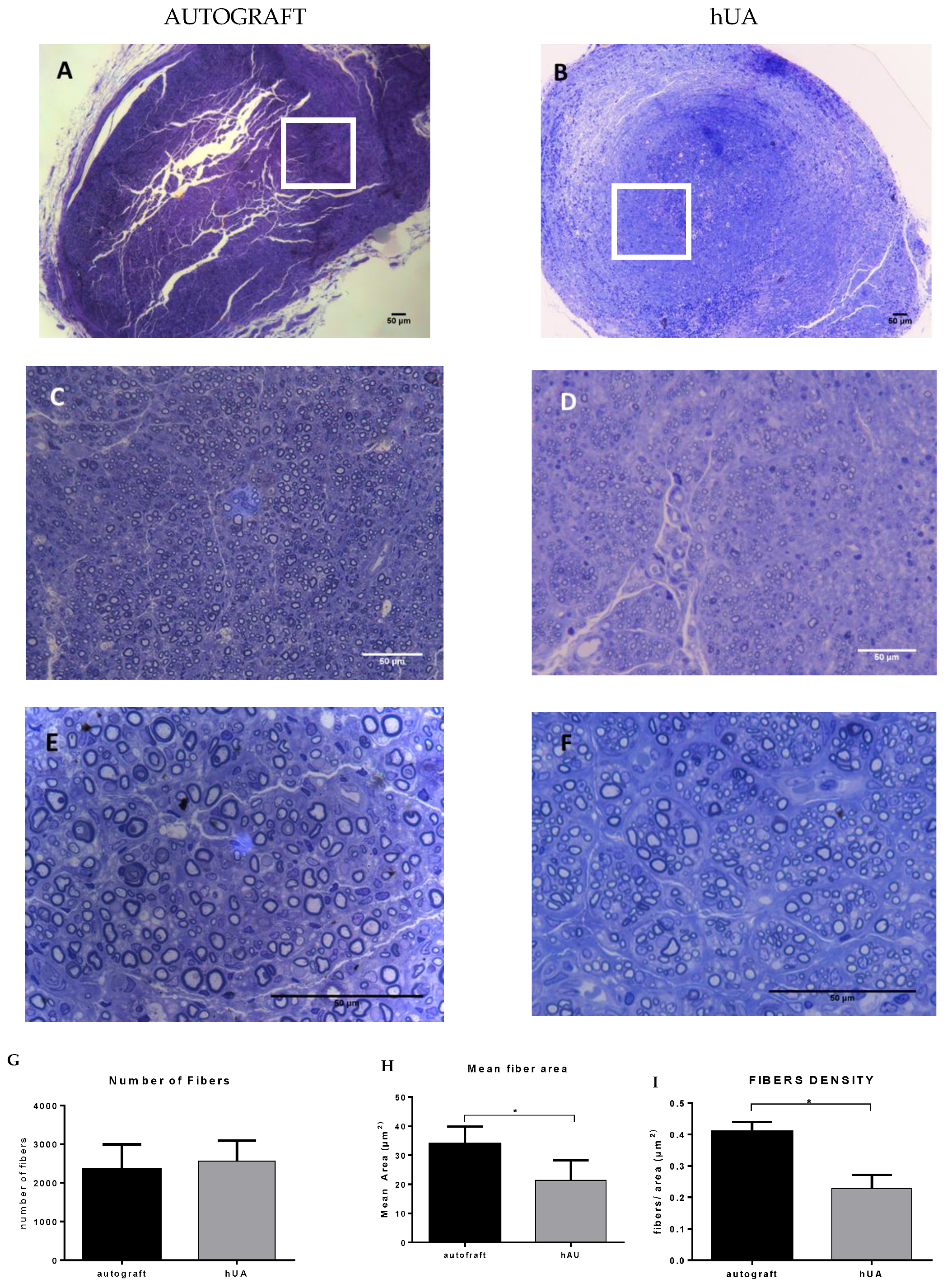 Bioengineering 05 00100 g006