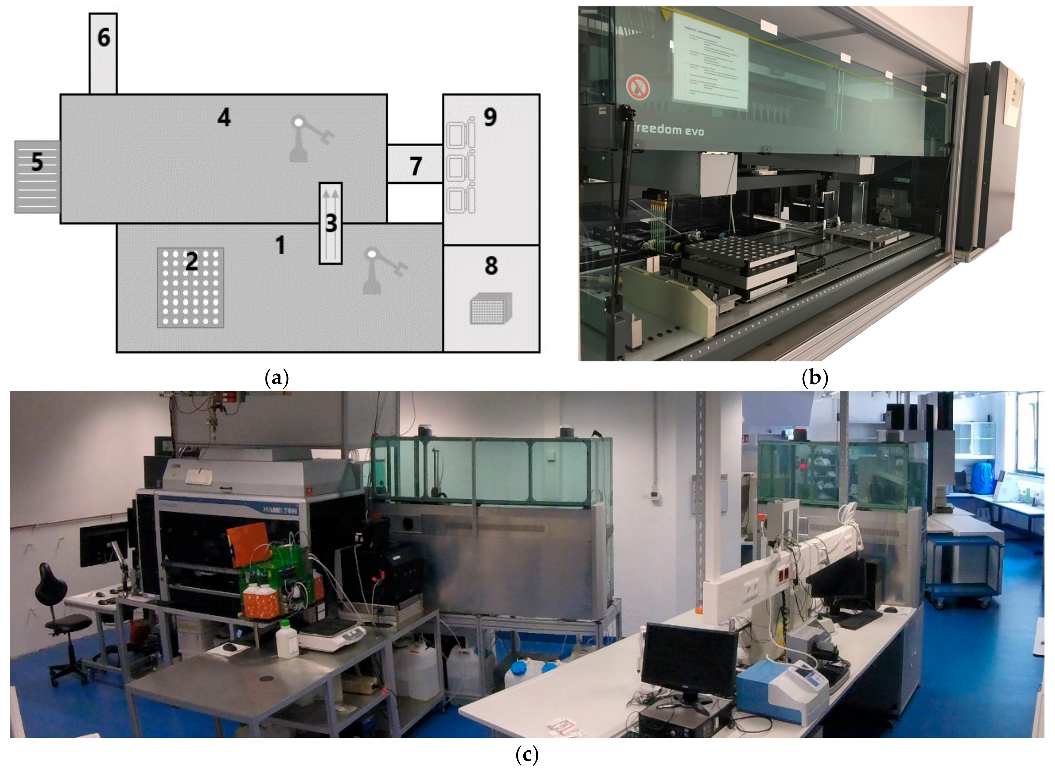 Bioengineering 05 00101 g003
