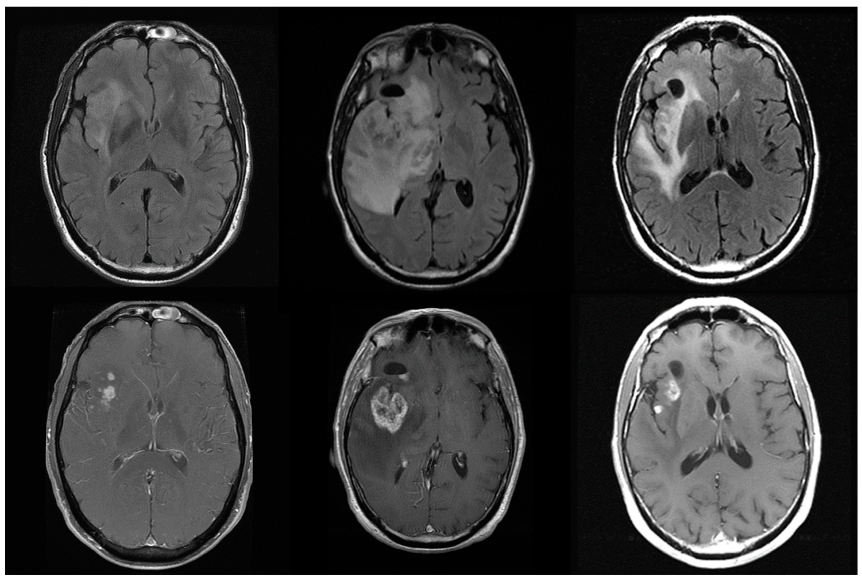 Bioengineering 05 00104 g001 Bioengineering 05 00104 g001