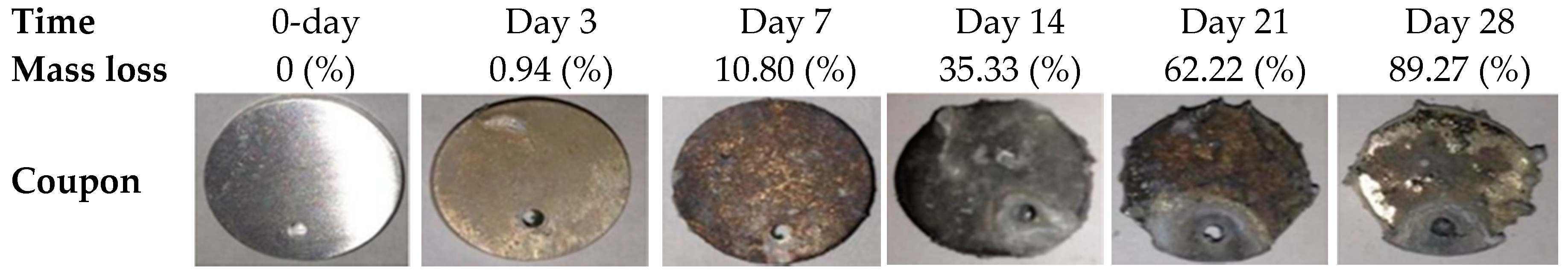 Bioengineering 05 00105 g004