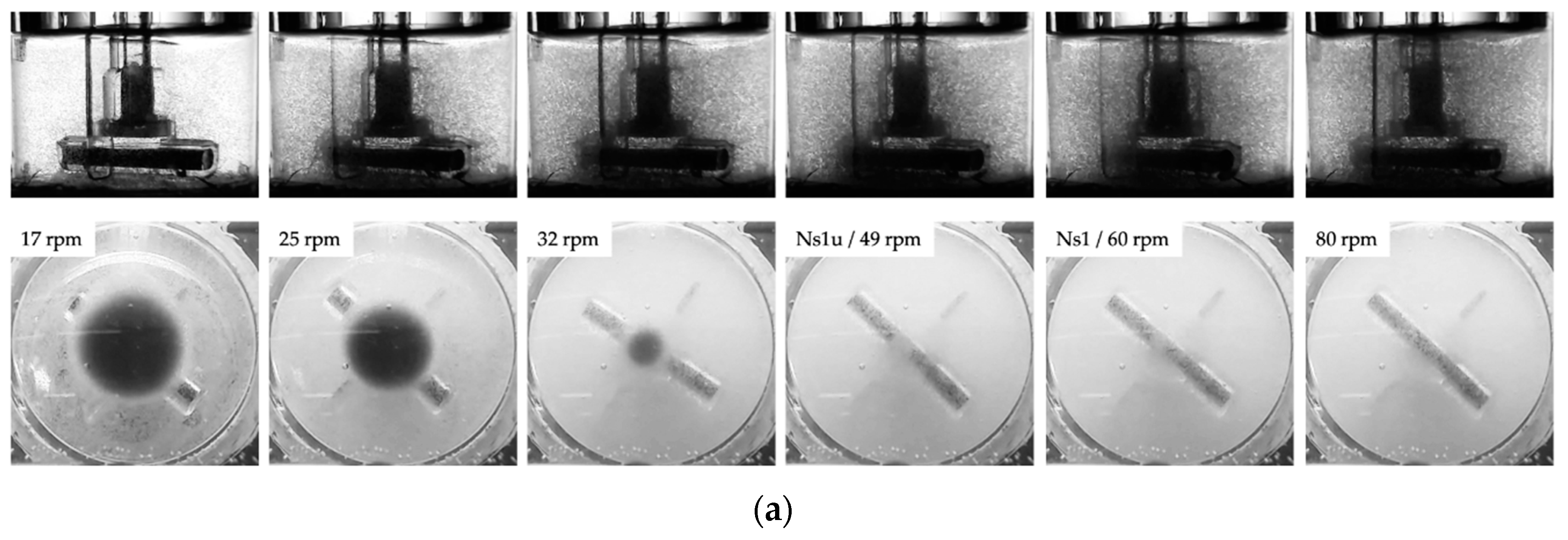 Bioengineering 05 00106 g006a Bioengineering 05 00106 g006a