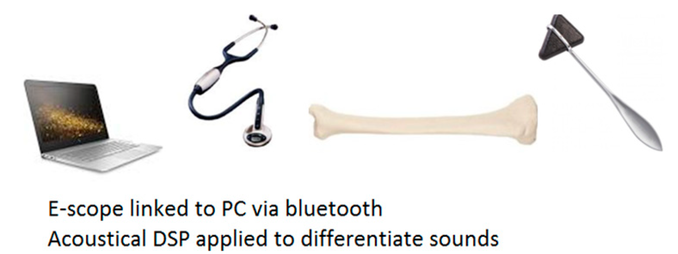 Bioengineering 05 00107 g001 550