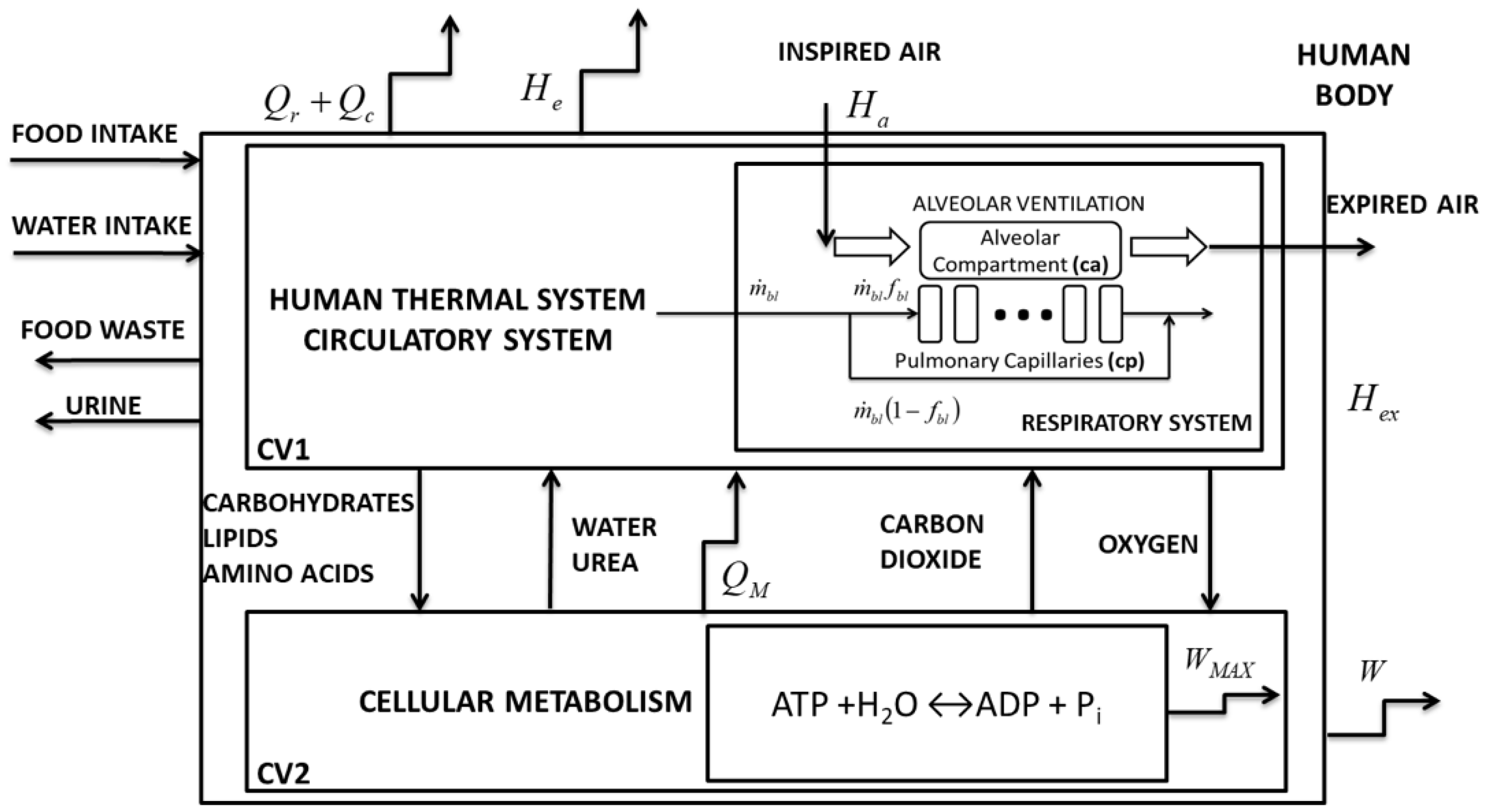 Bioengineering 05 00108 g001 Bioengineering 05 00108 g001