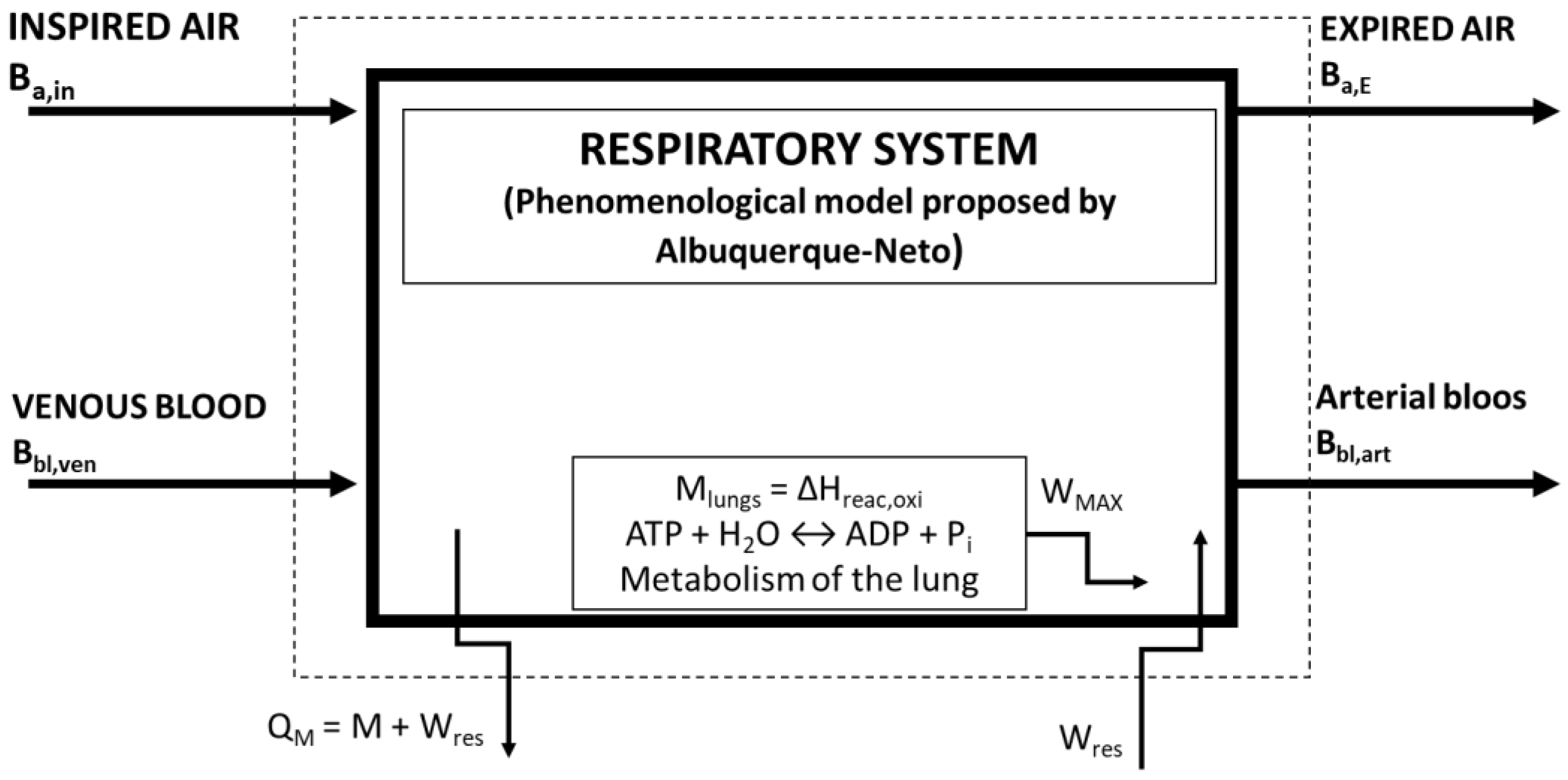 Bioengineering 05 00108 g003 Bioengineering 05 00108 g003