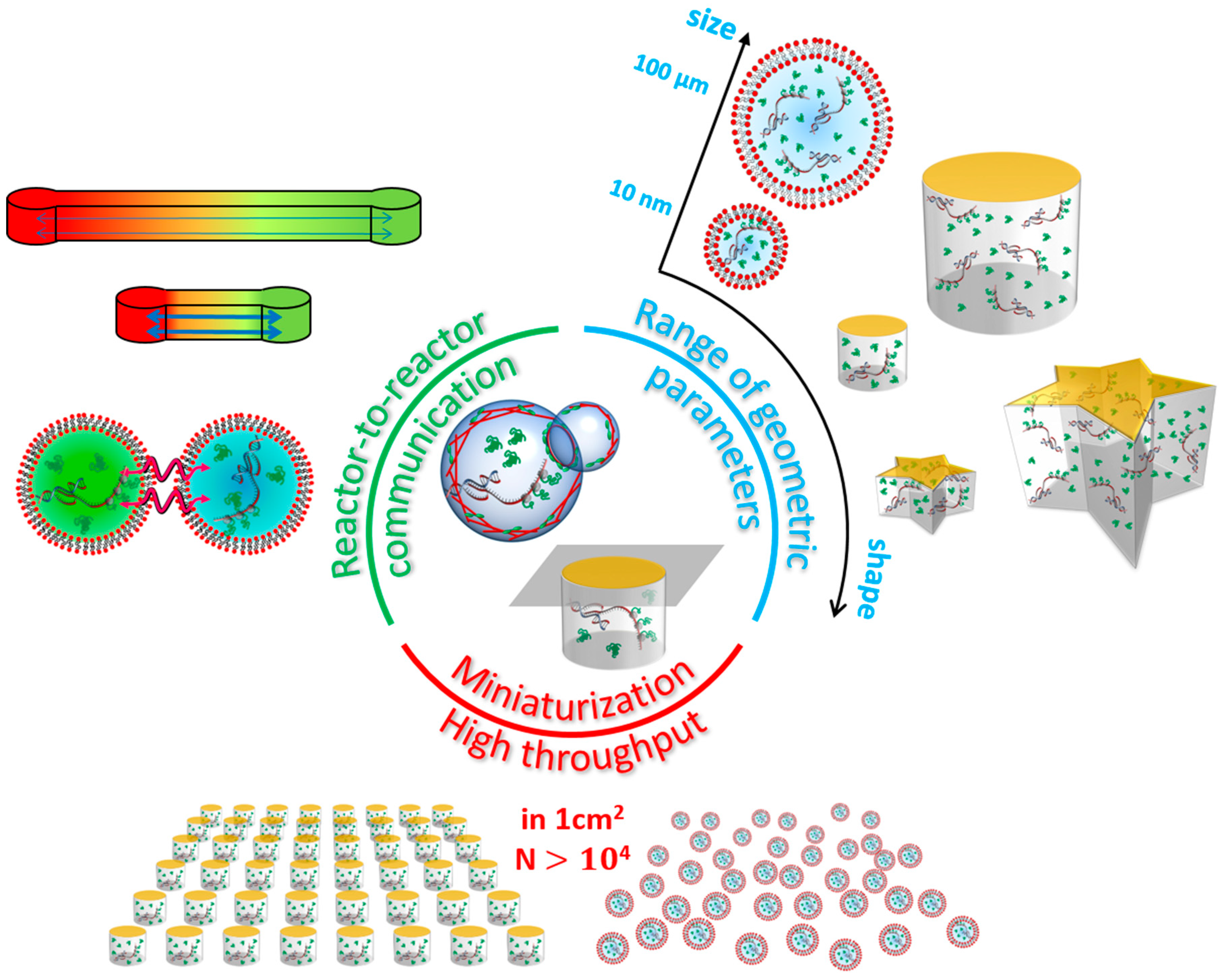 Bioengineering 05 00110 g003