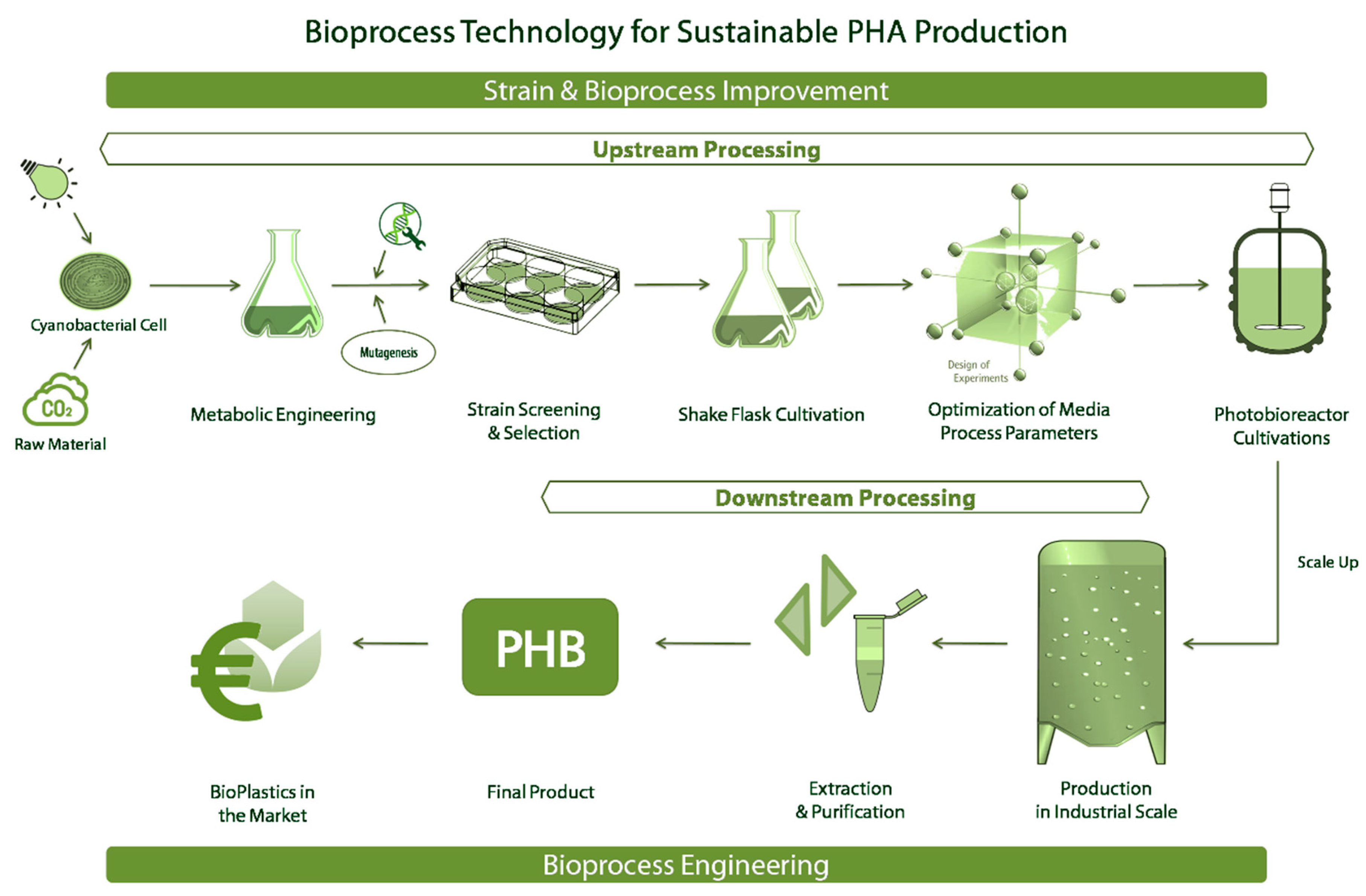 Bioengineering Free FullText Bioprocess Engineering Aspects of
