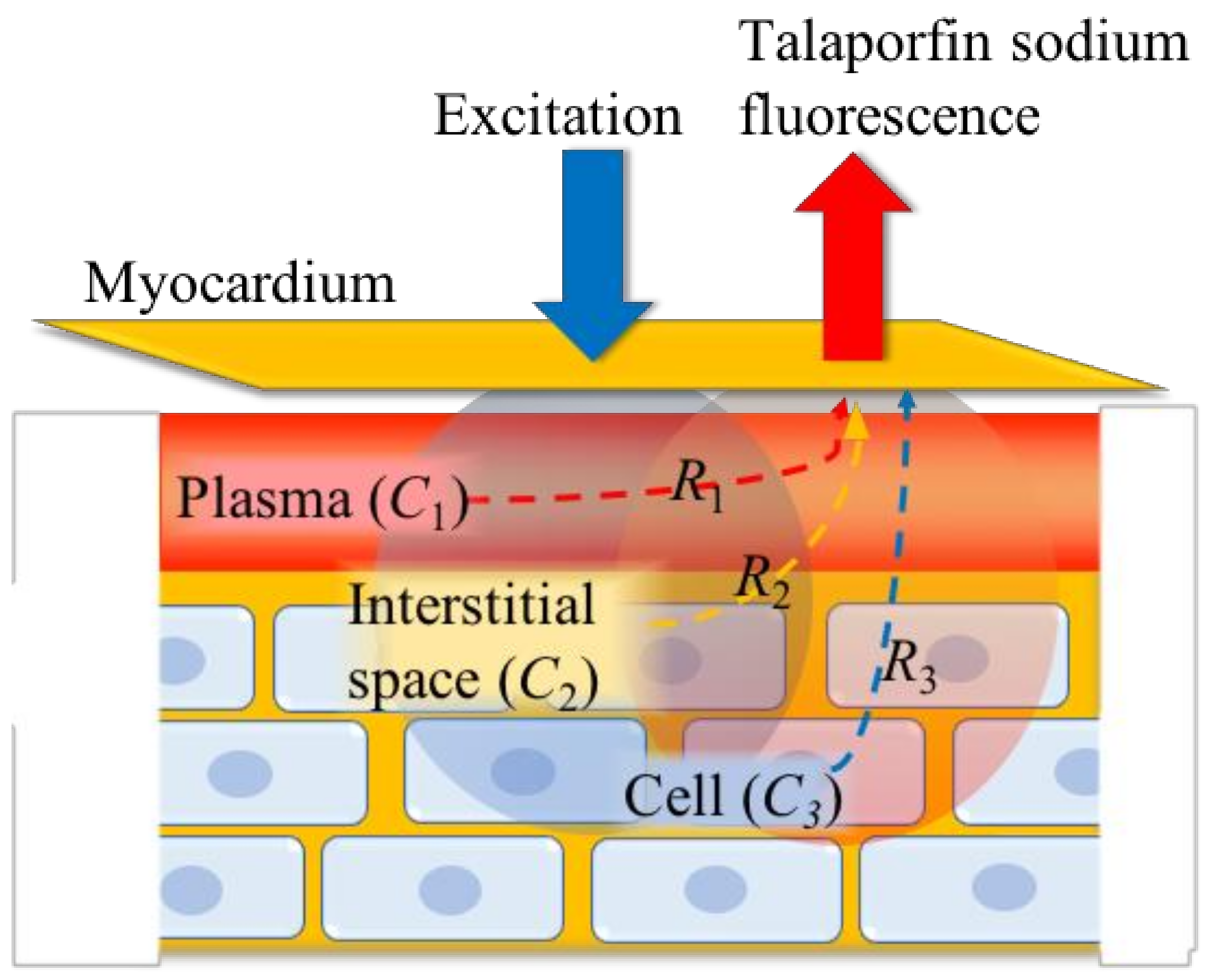 Bioengineering 06 00001 g002