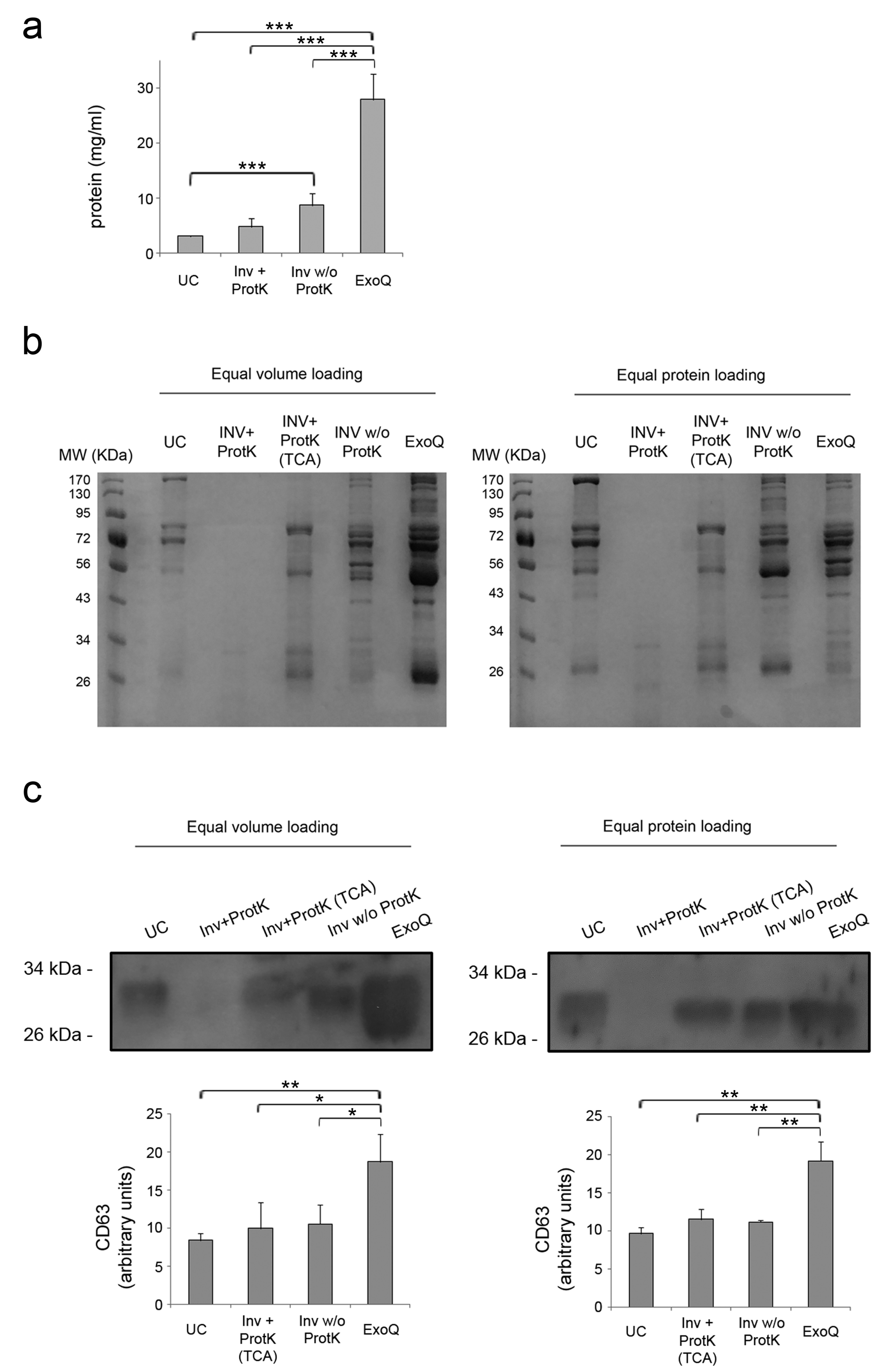 Bioengineering 06 00008 g002