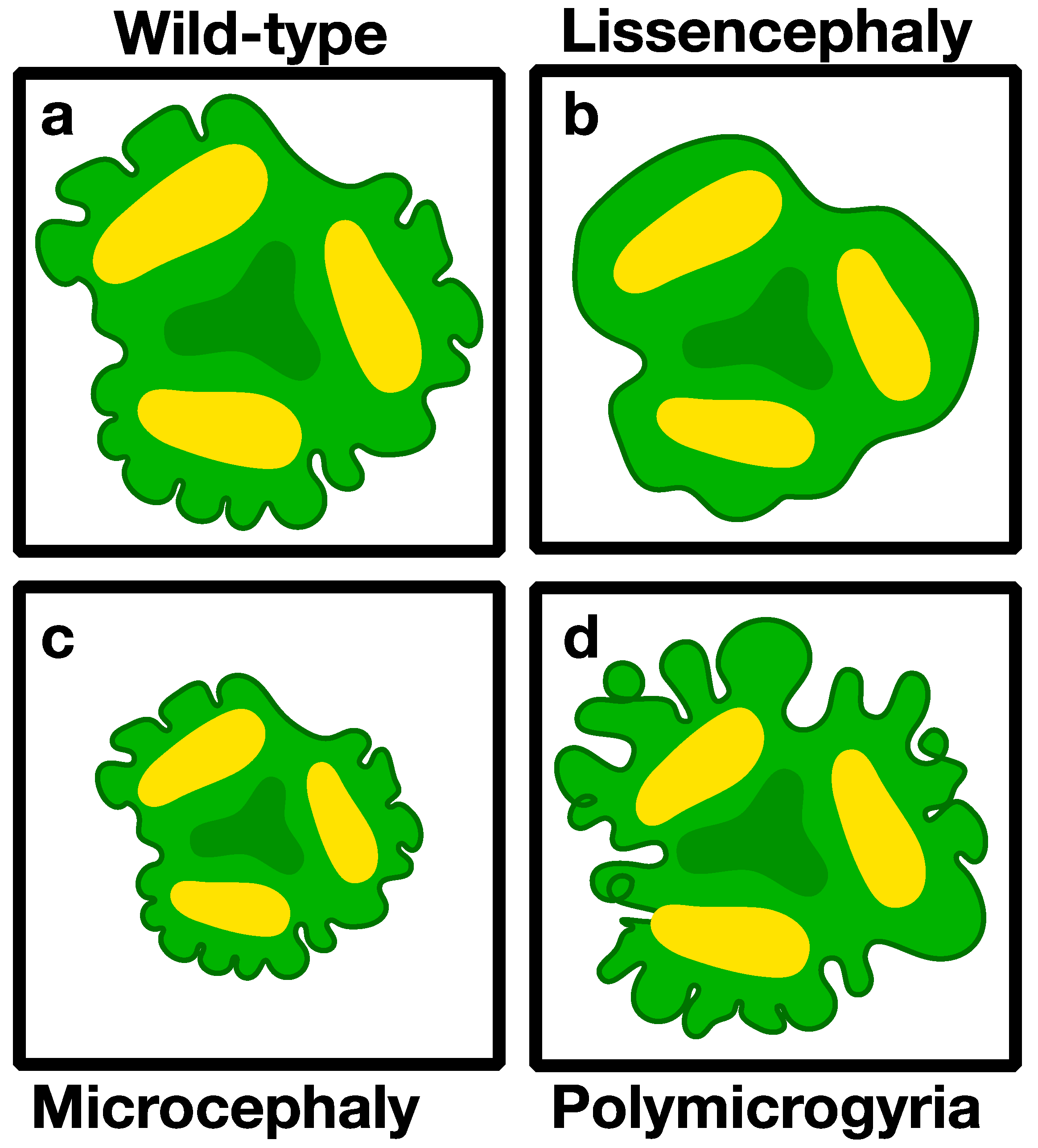 Bioengineering 06 00009 g002