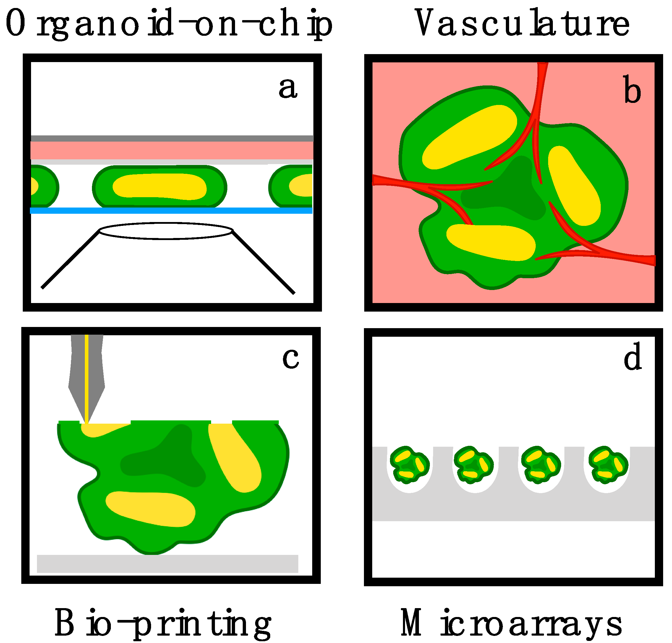 Bioengineering 06 00009 g003