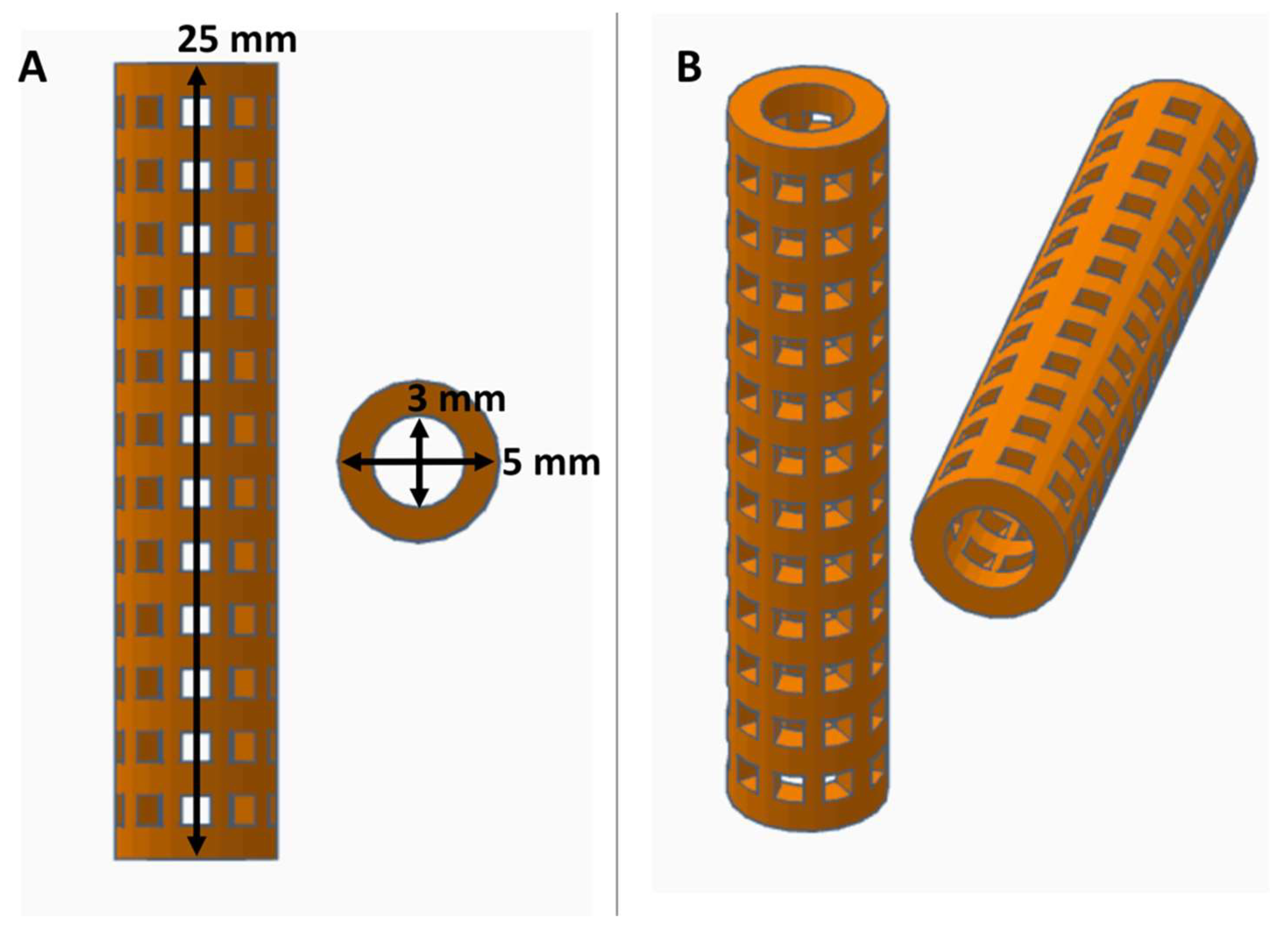 Bioengineering 06 00016 g001