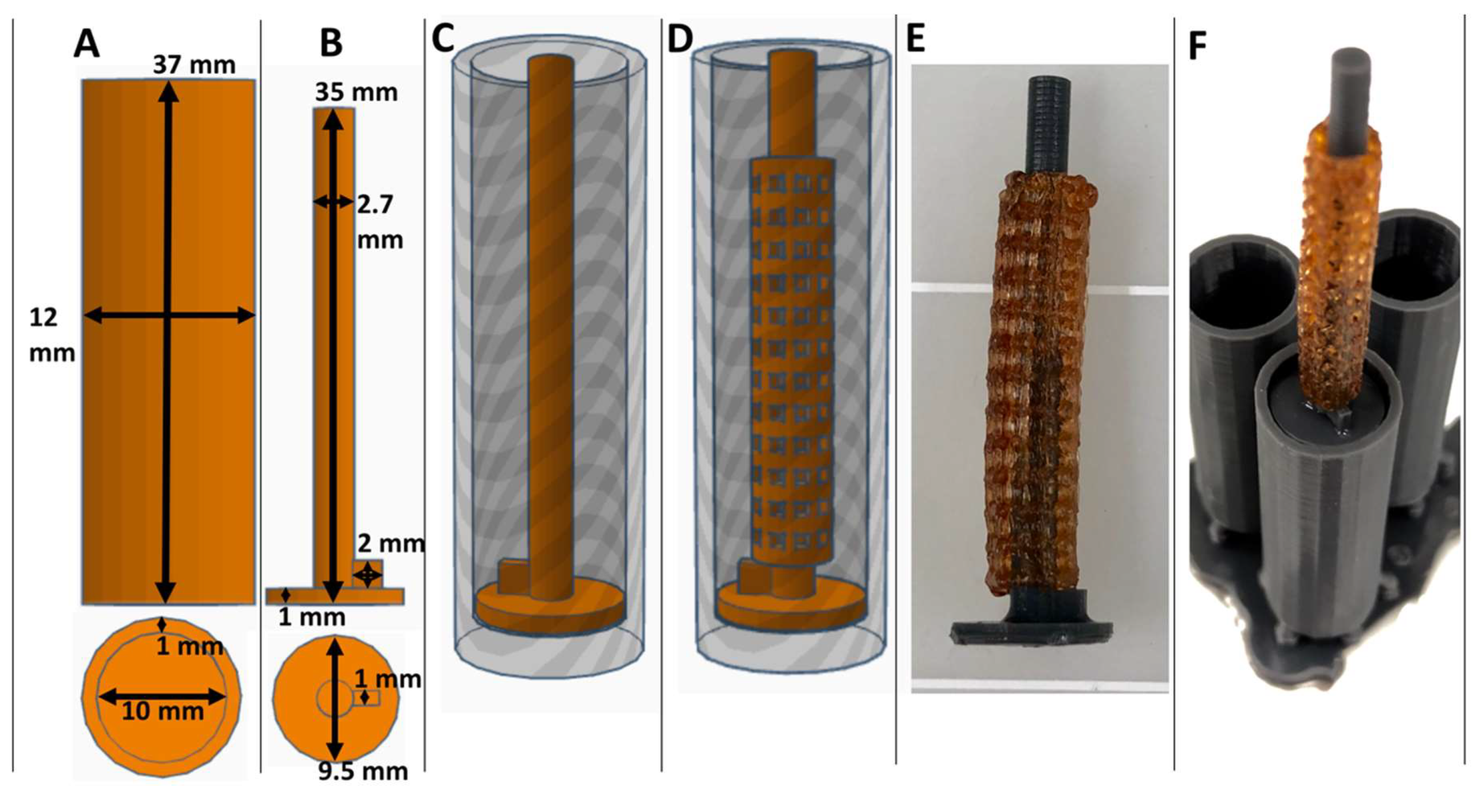 Bioengineering 06 00016 g002
