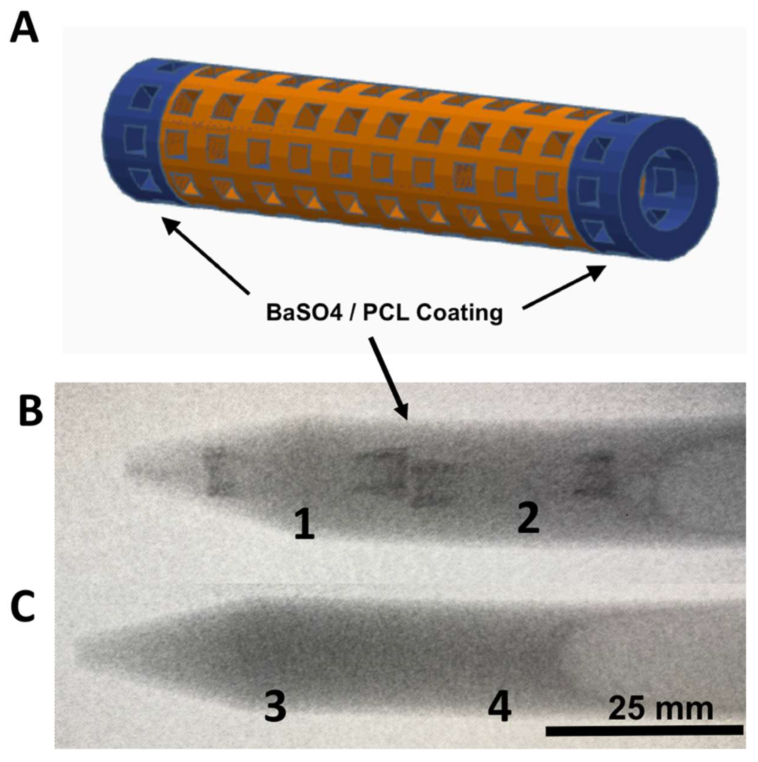 Bioengineering 06 00016 g003