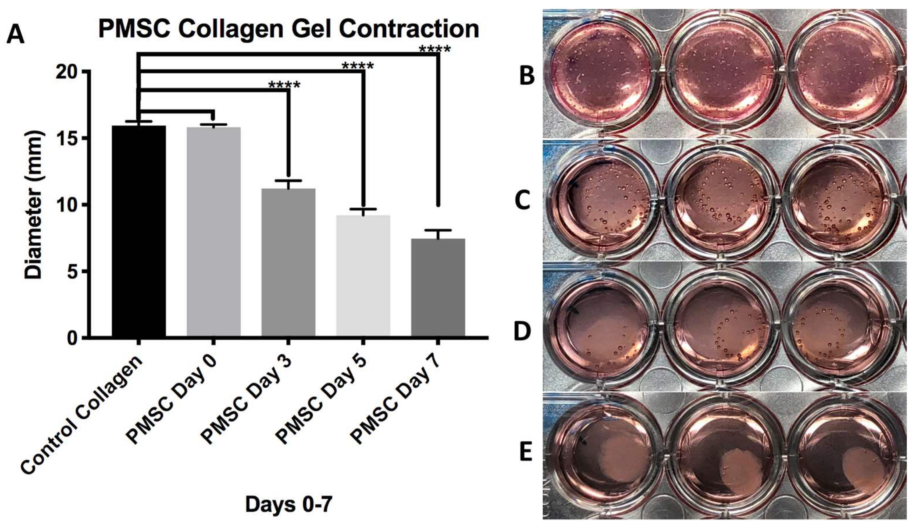 Bioengineering 06 00016 g006