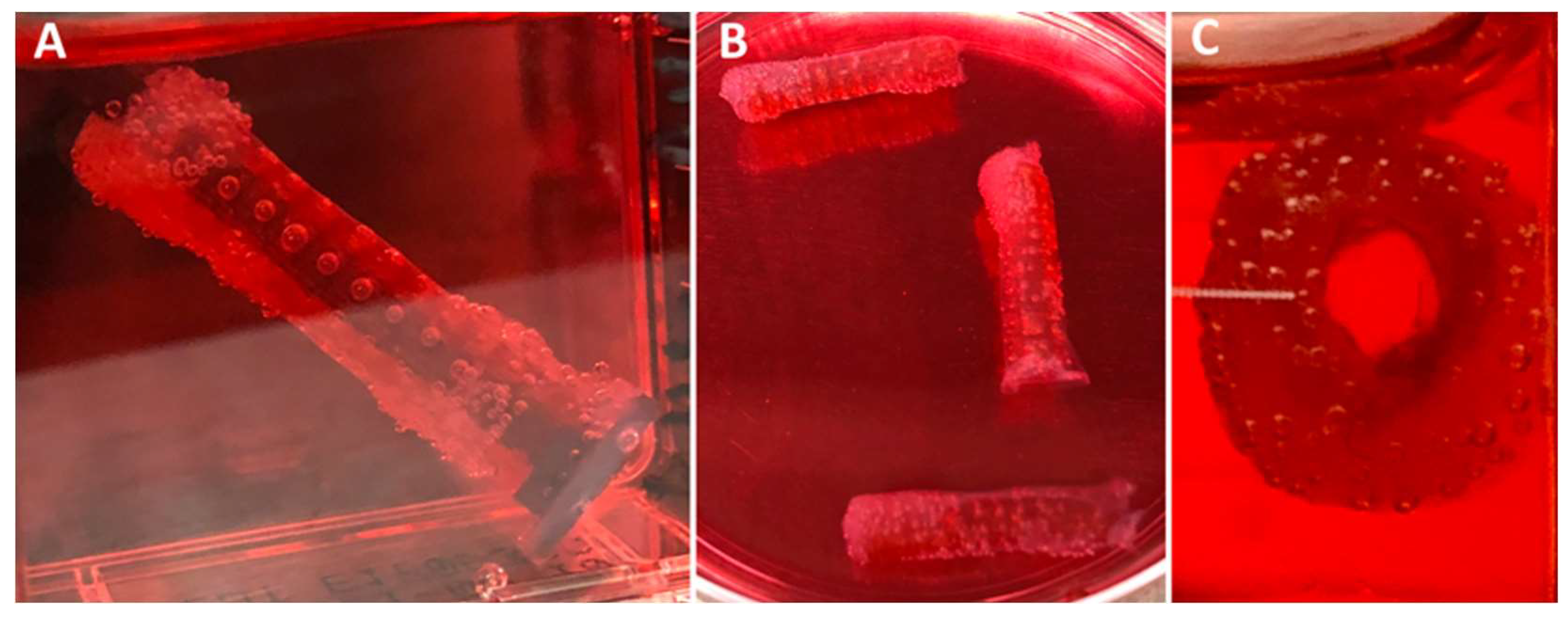 Bioengineering 06 00016 g007