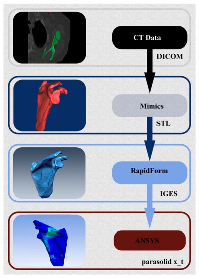 Bioengineering | Free Full-Text | A Study of the Biomechanical