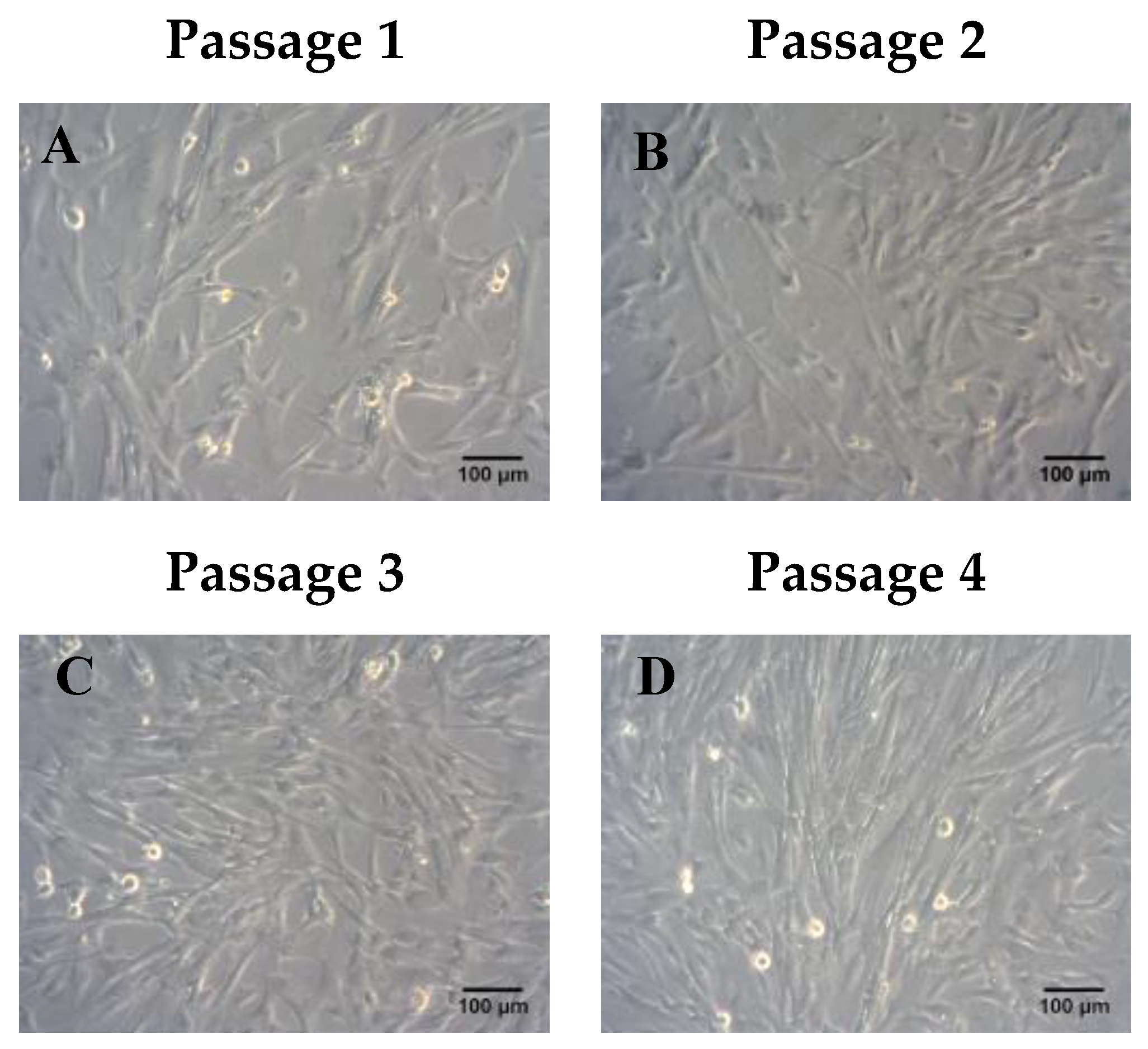 Bioengineering 06 00021 g002