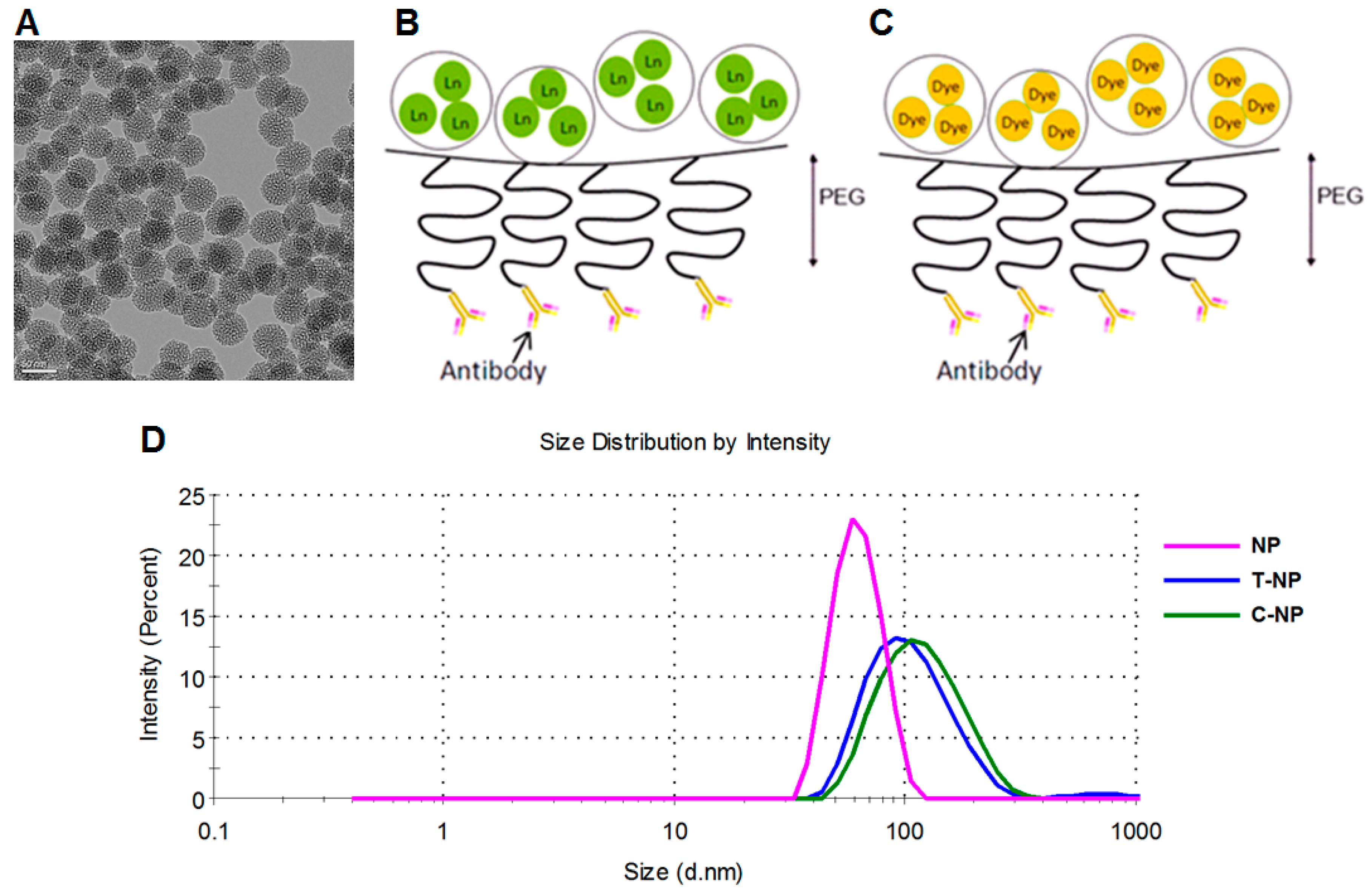 Bioengineering 06 00023 g001