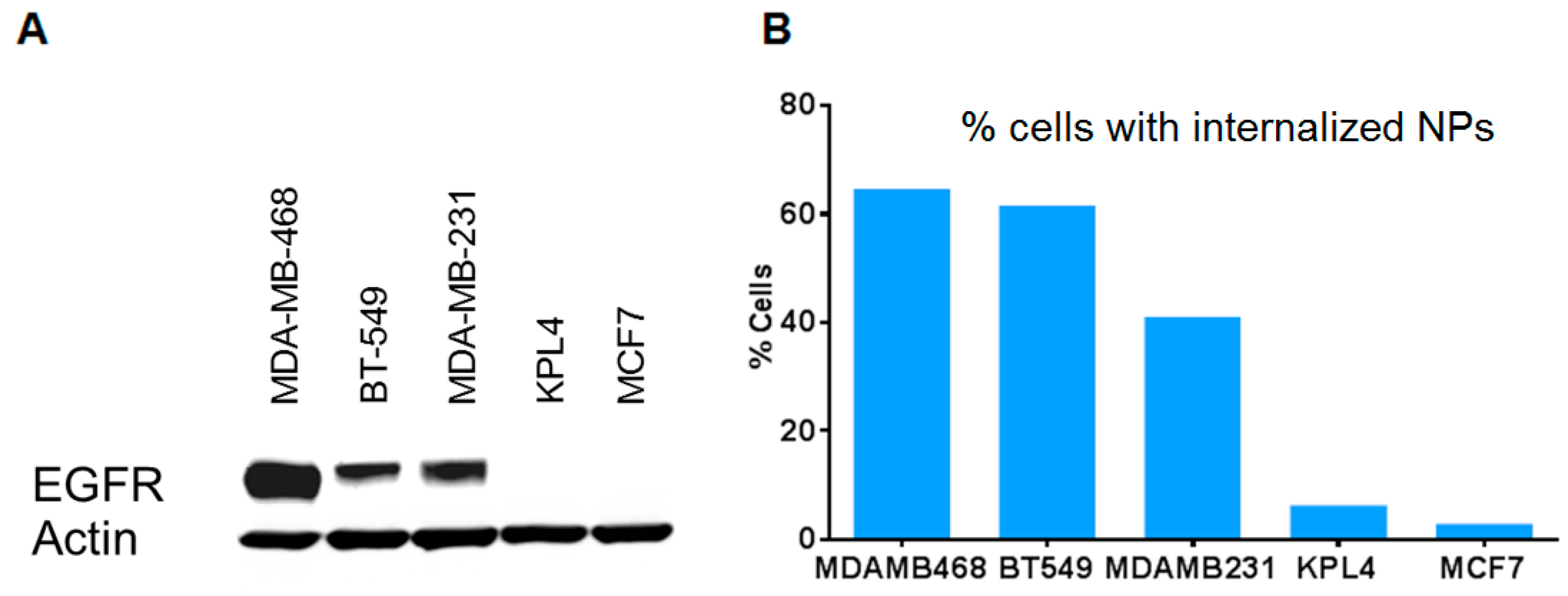 Bioengineering 06 00023 g004