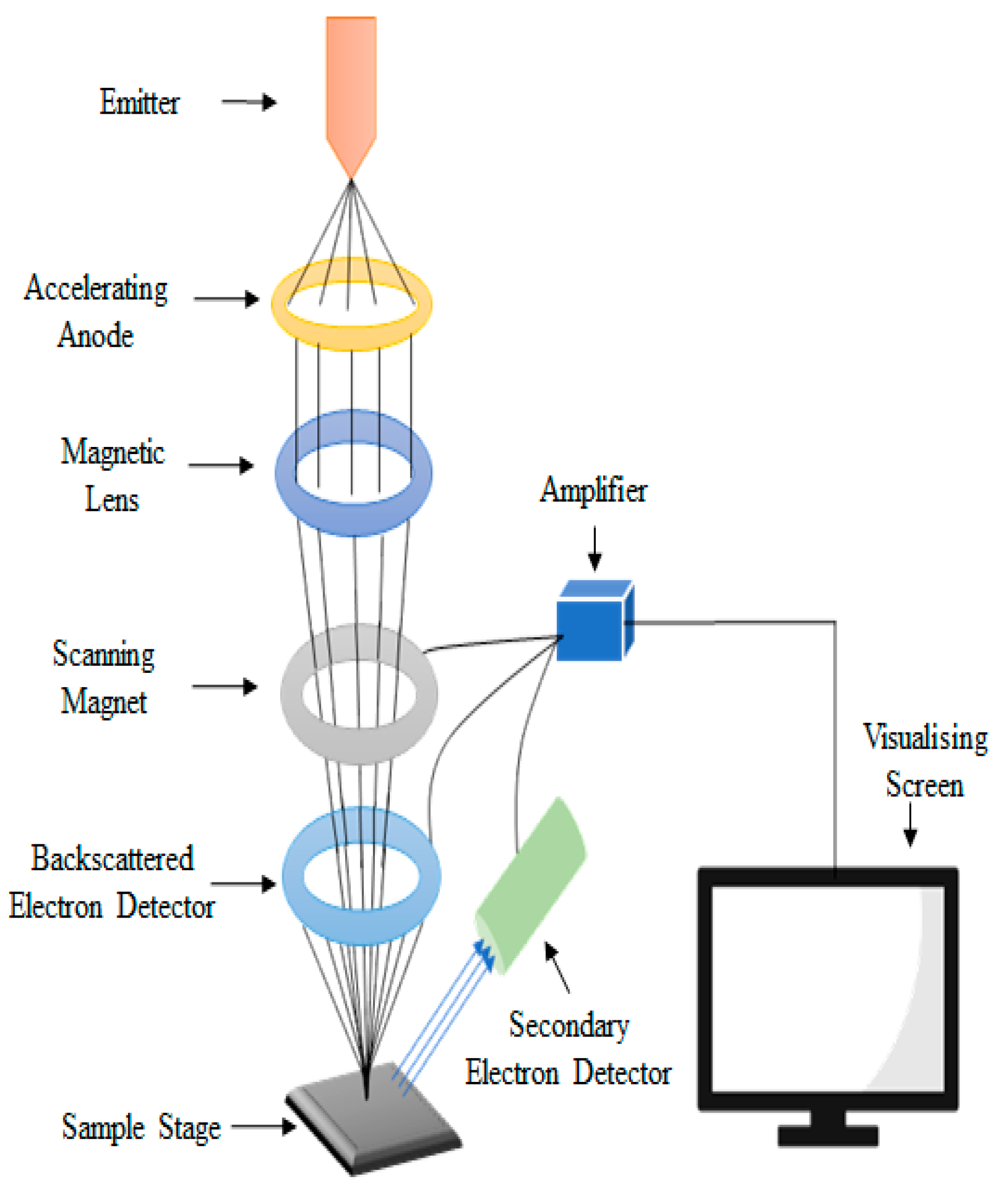 scanning electron microscope block diagram