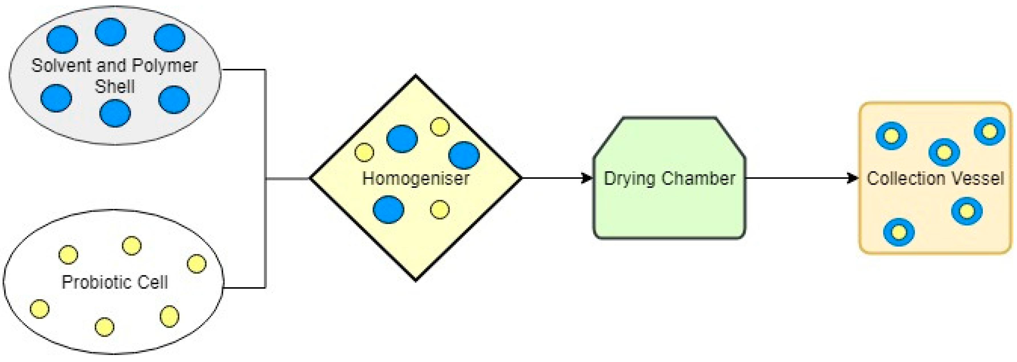 Bioengineering 06 g002