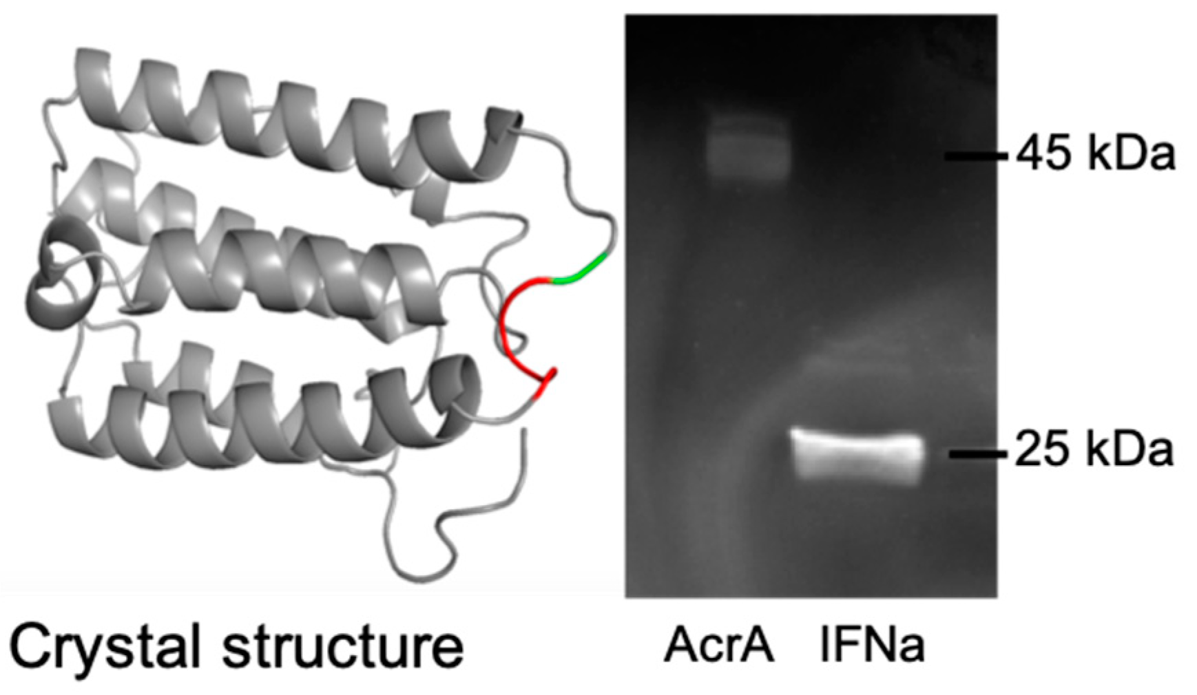 Bioengineering 06 00027 g003